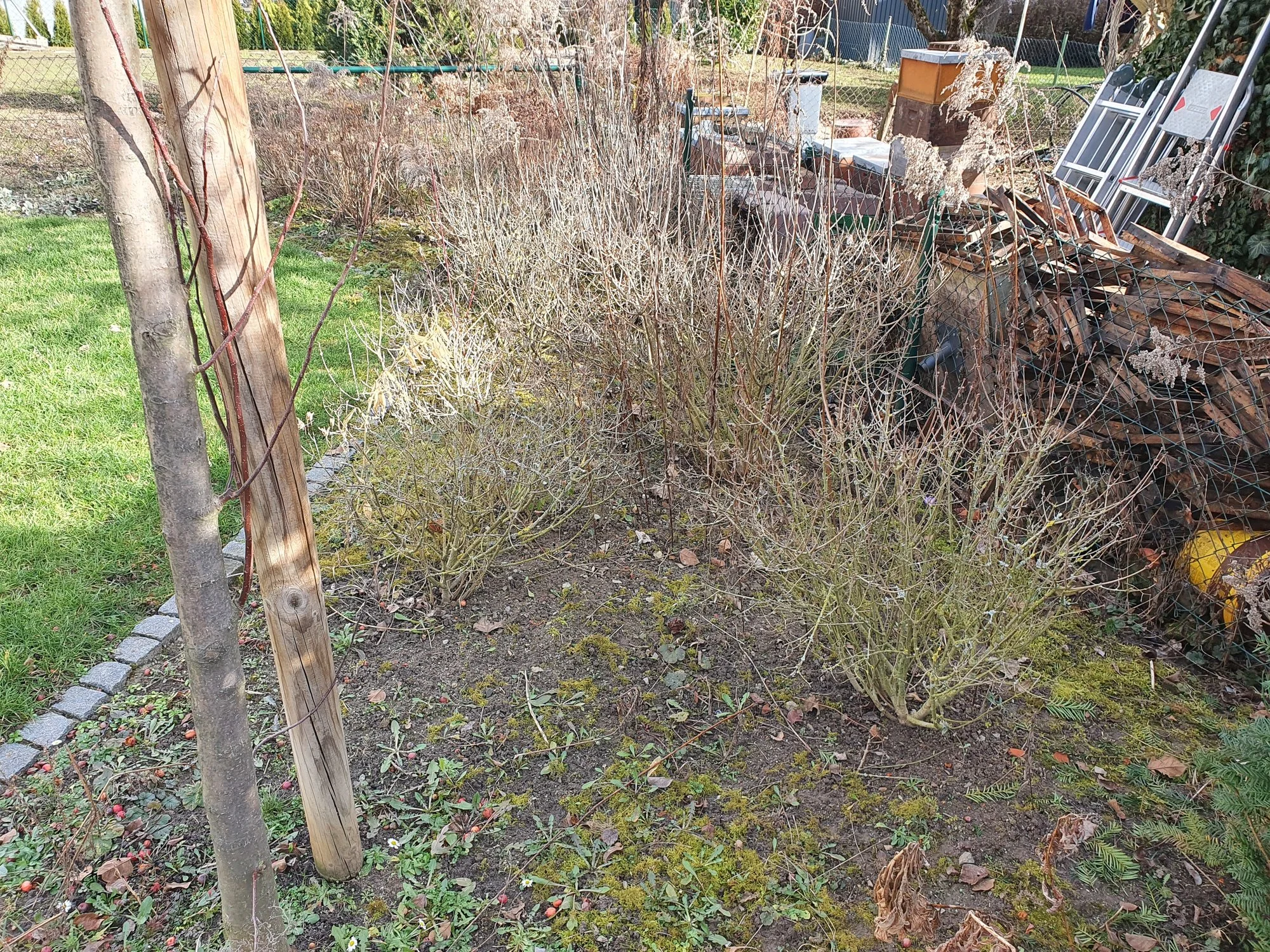 20210222_145126.webp