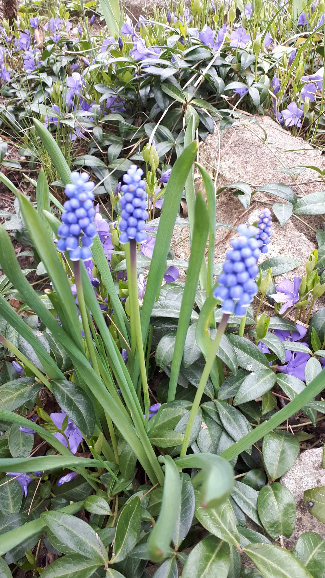 20210417_094751.webp