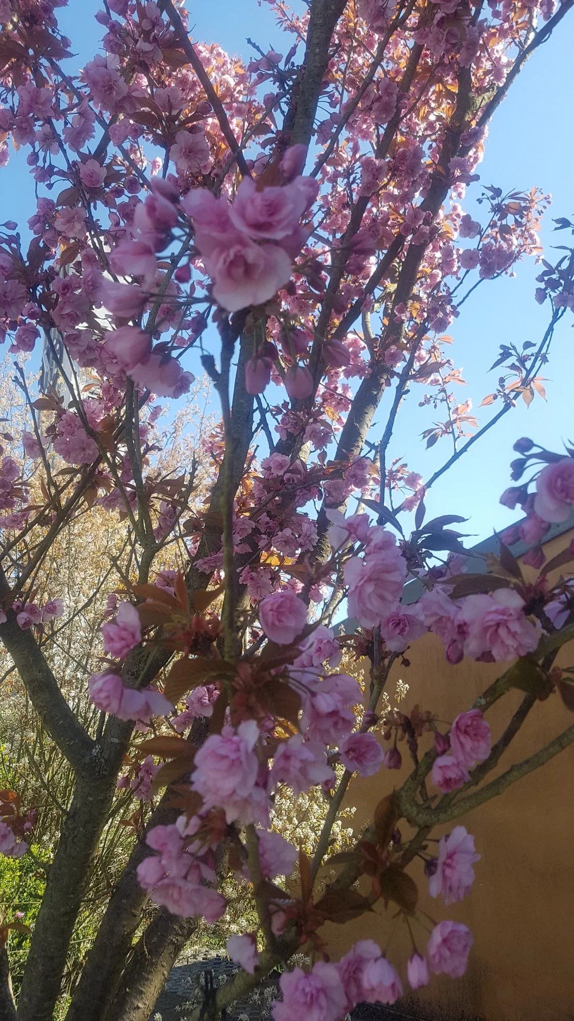 20210426_105634.webp