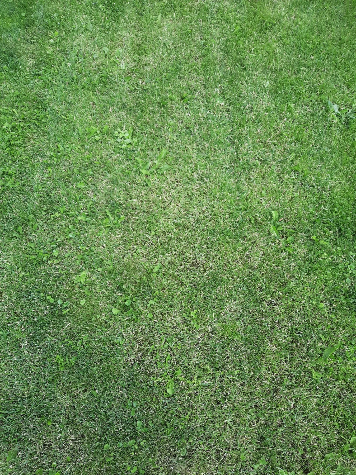 20210611_135541.webp
