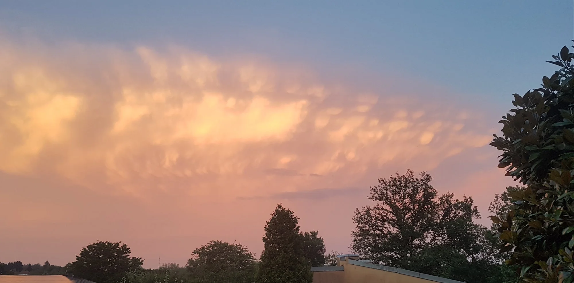 20210619_085514.webp