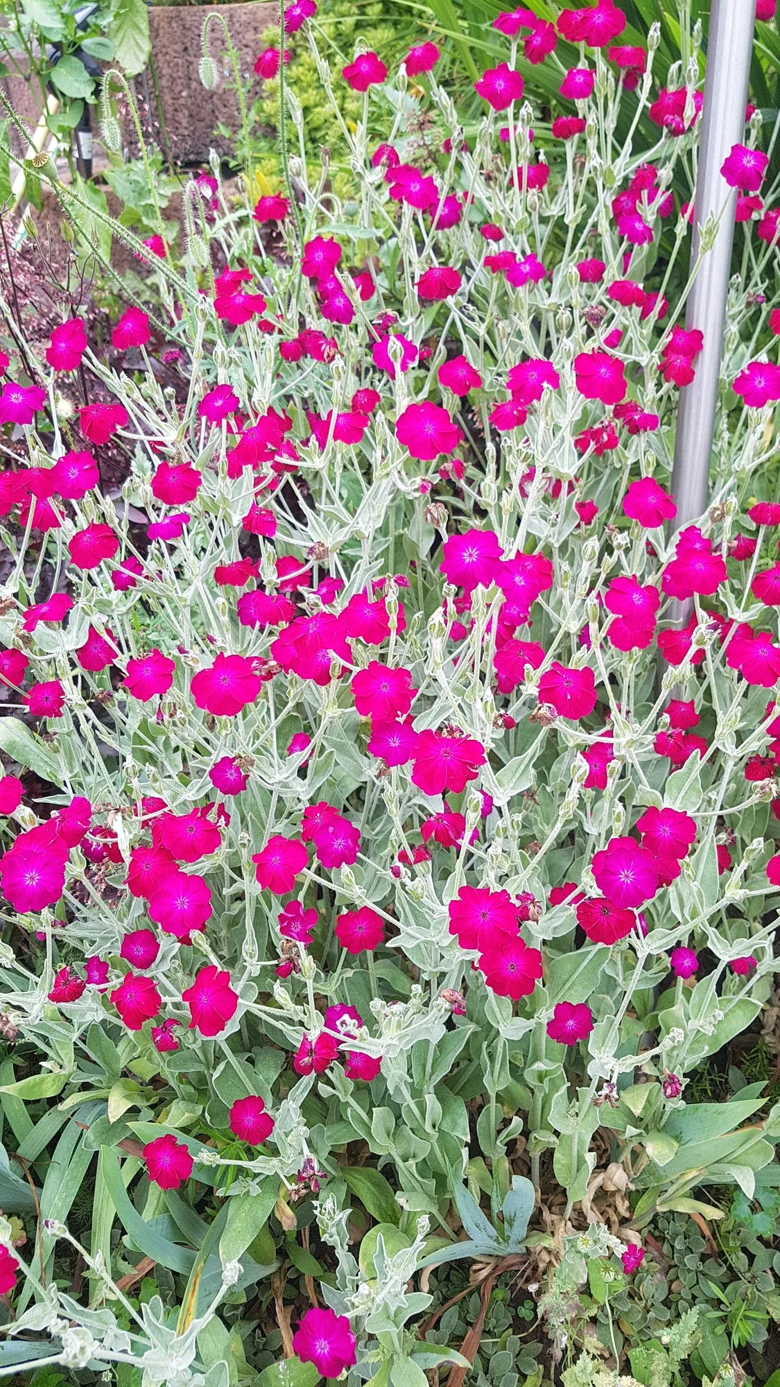 20210701_182859.jpg