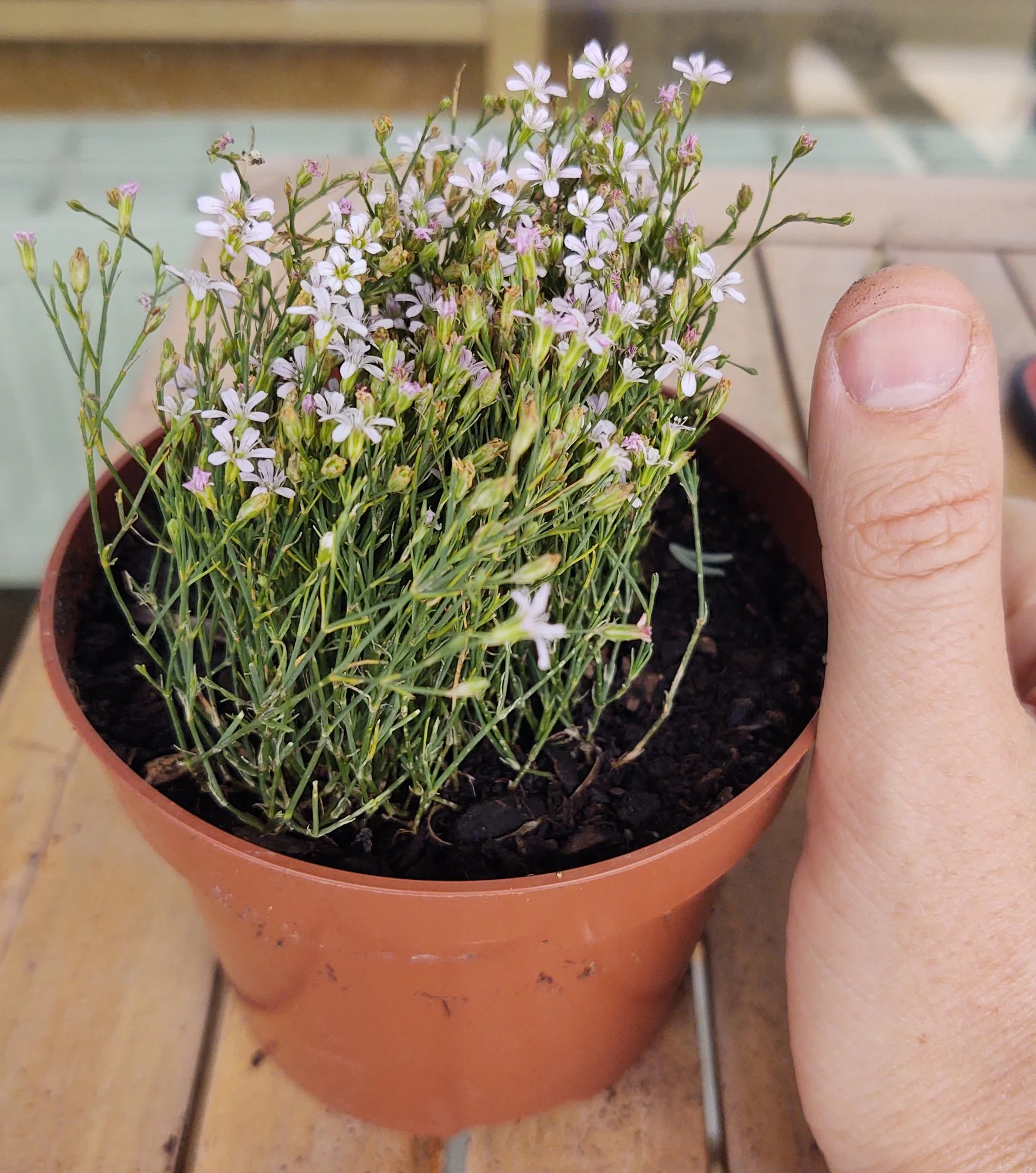 20210731-142459_551400_MotoOneZ_cr.webp 20210731-142459_551400_MotoOneZ_cr.webp