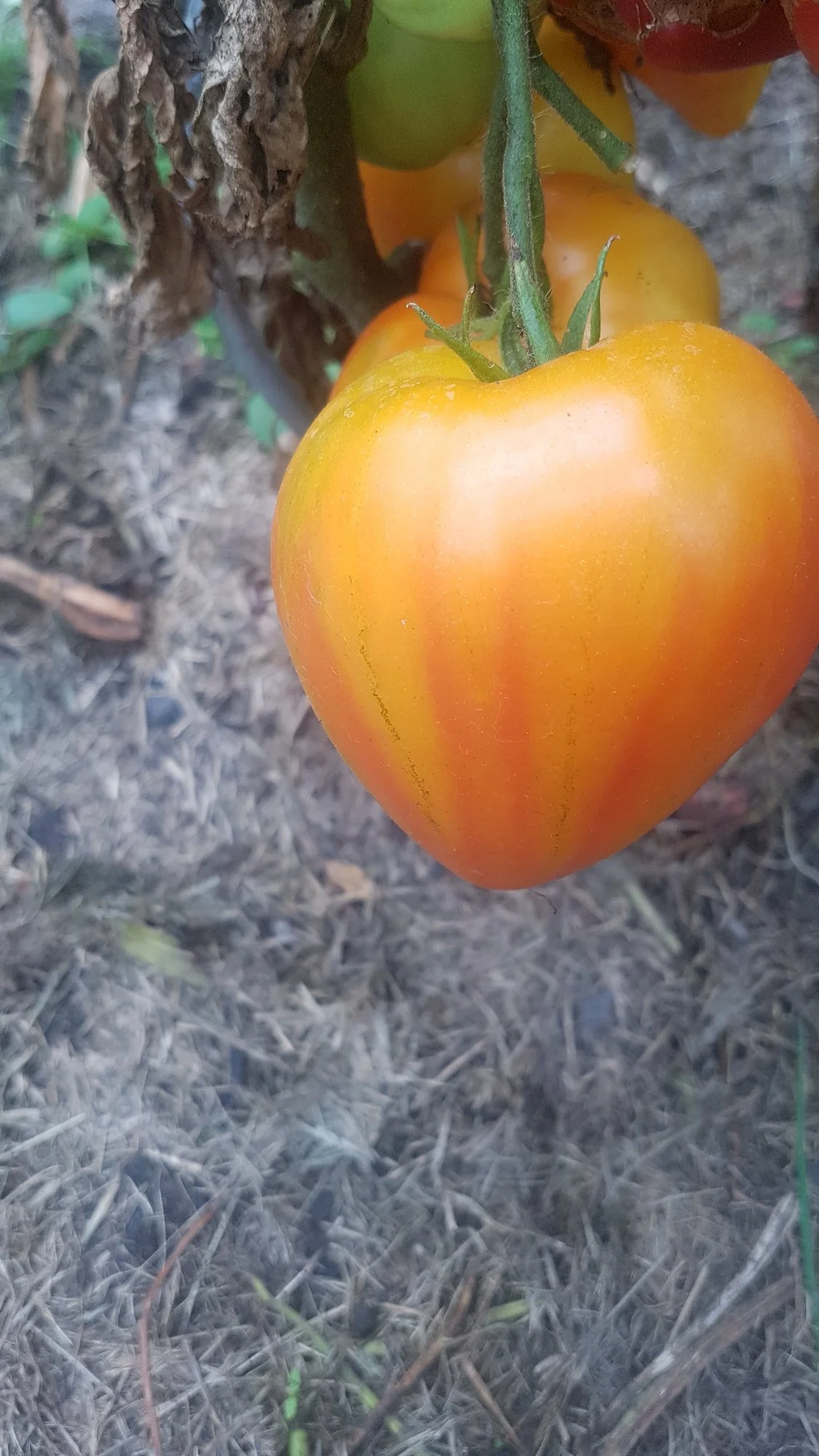 20210829_132451.webp