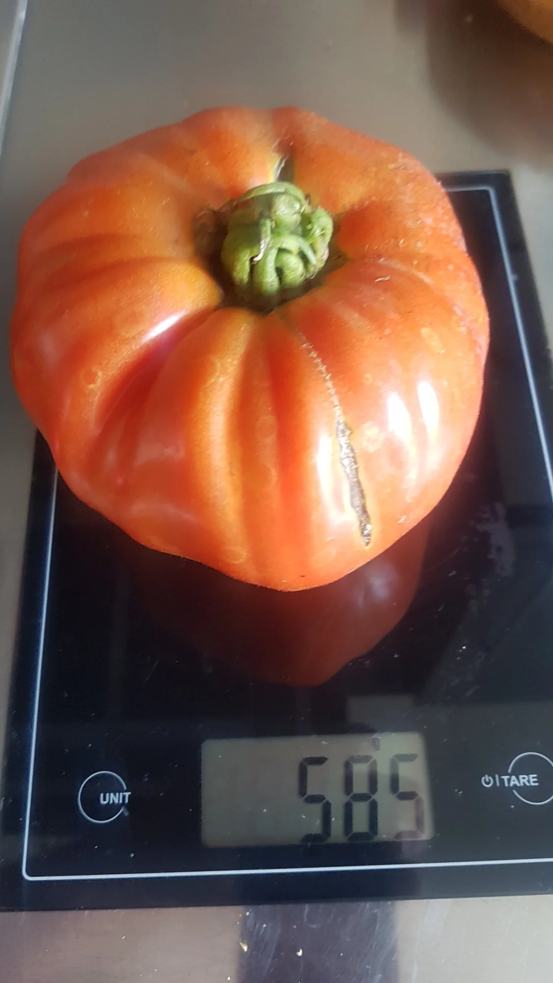 20211009_124202.webp