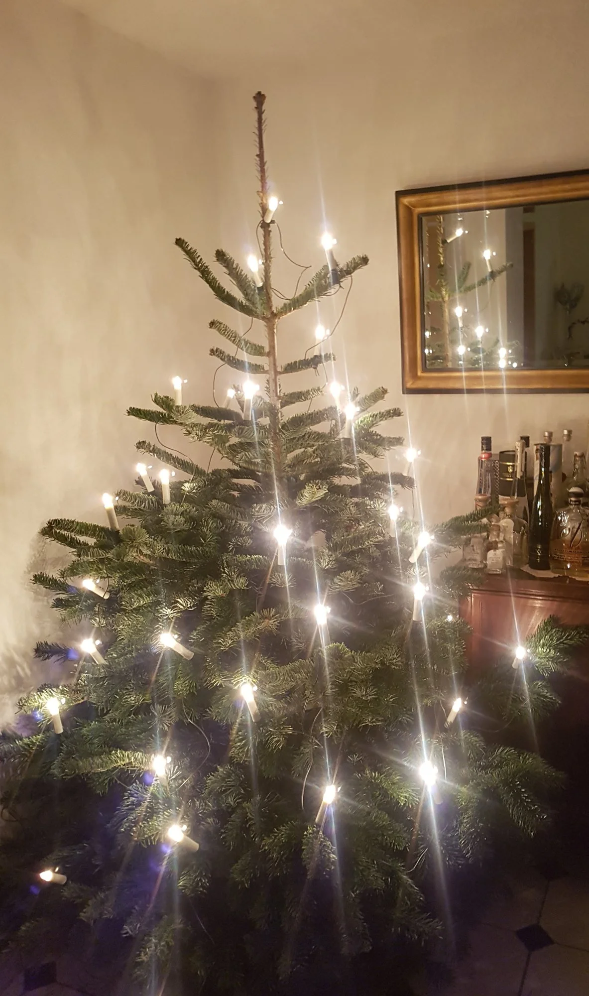 20211208_172851.webp
