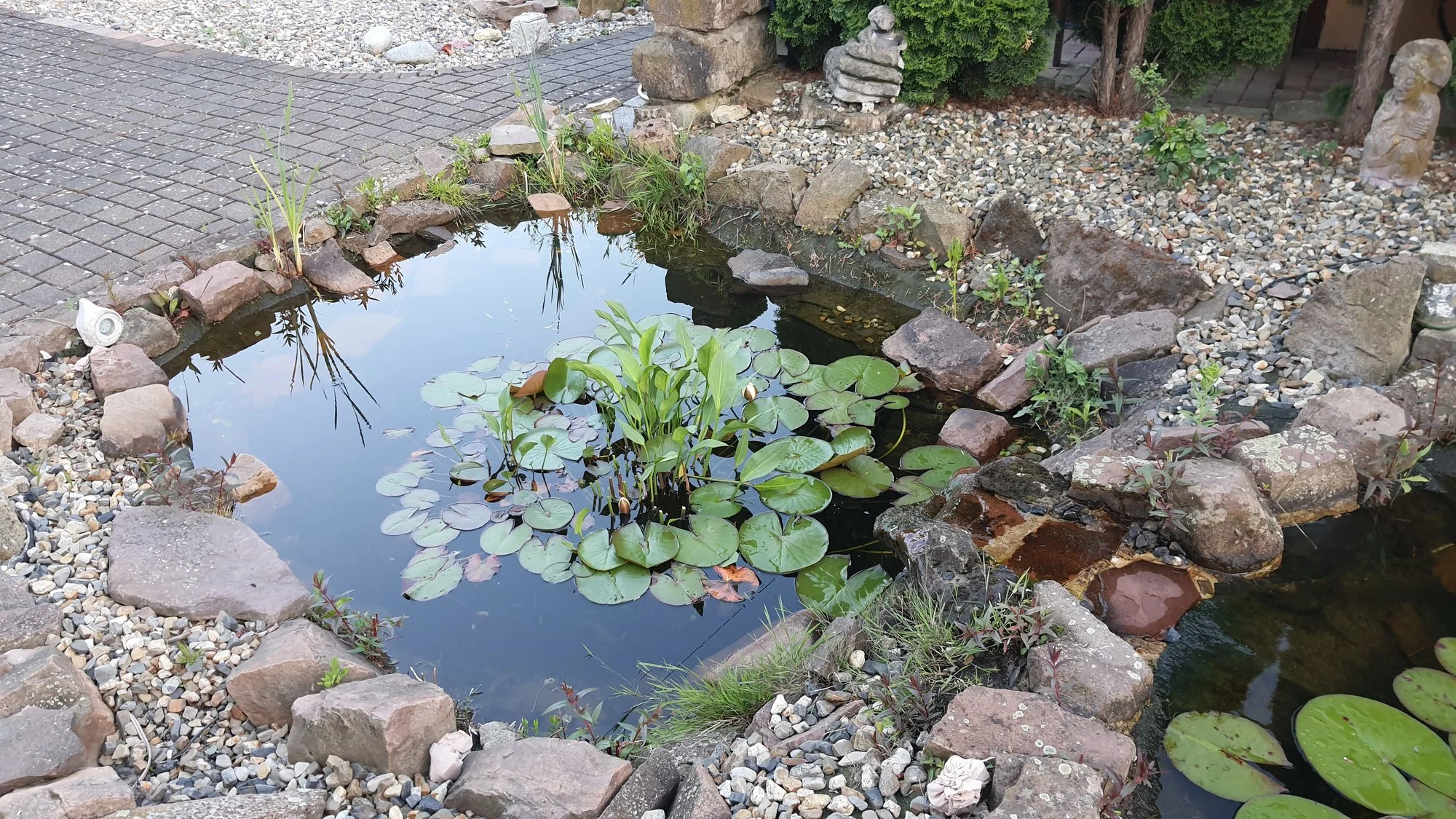 Geräte zum Teich reinigen was gibt es?