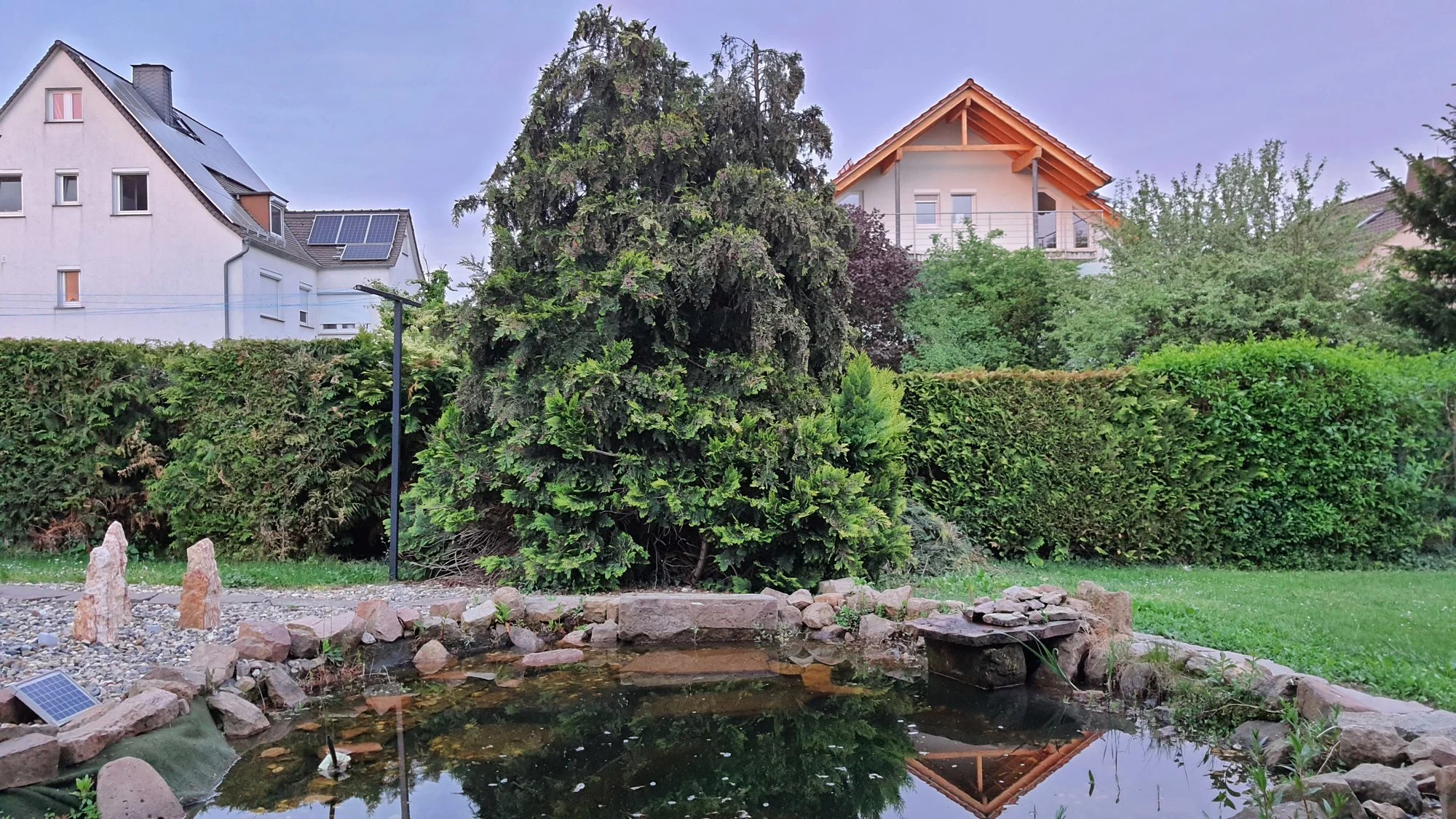 Baum gegen Teich? Macht der Baum den Teich kaputt?