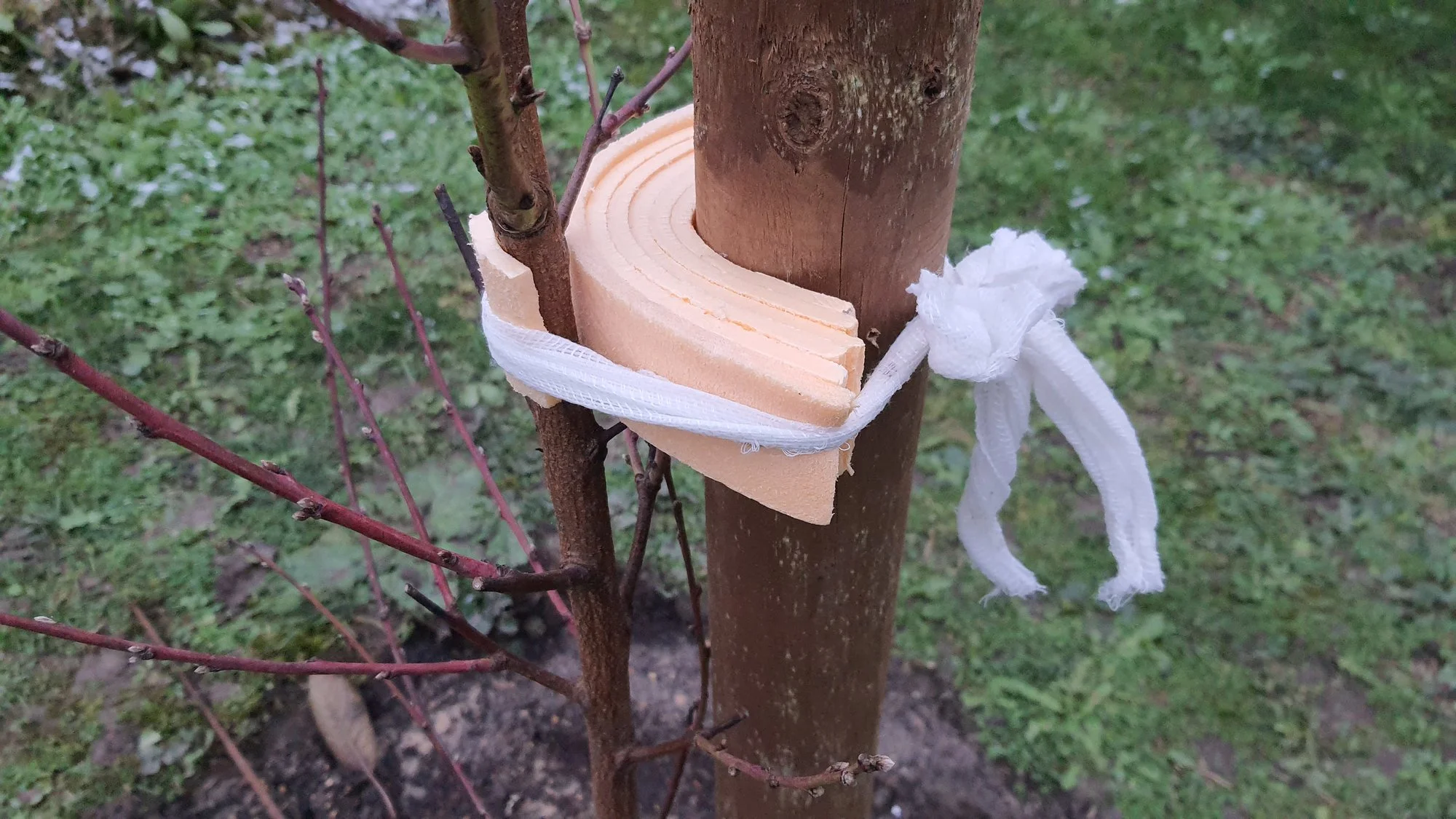 forum.hausgarten.net