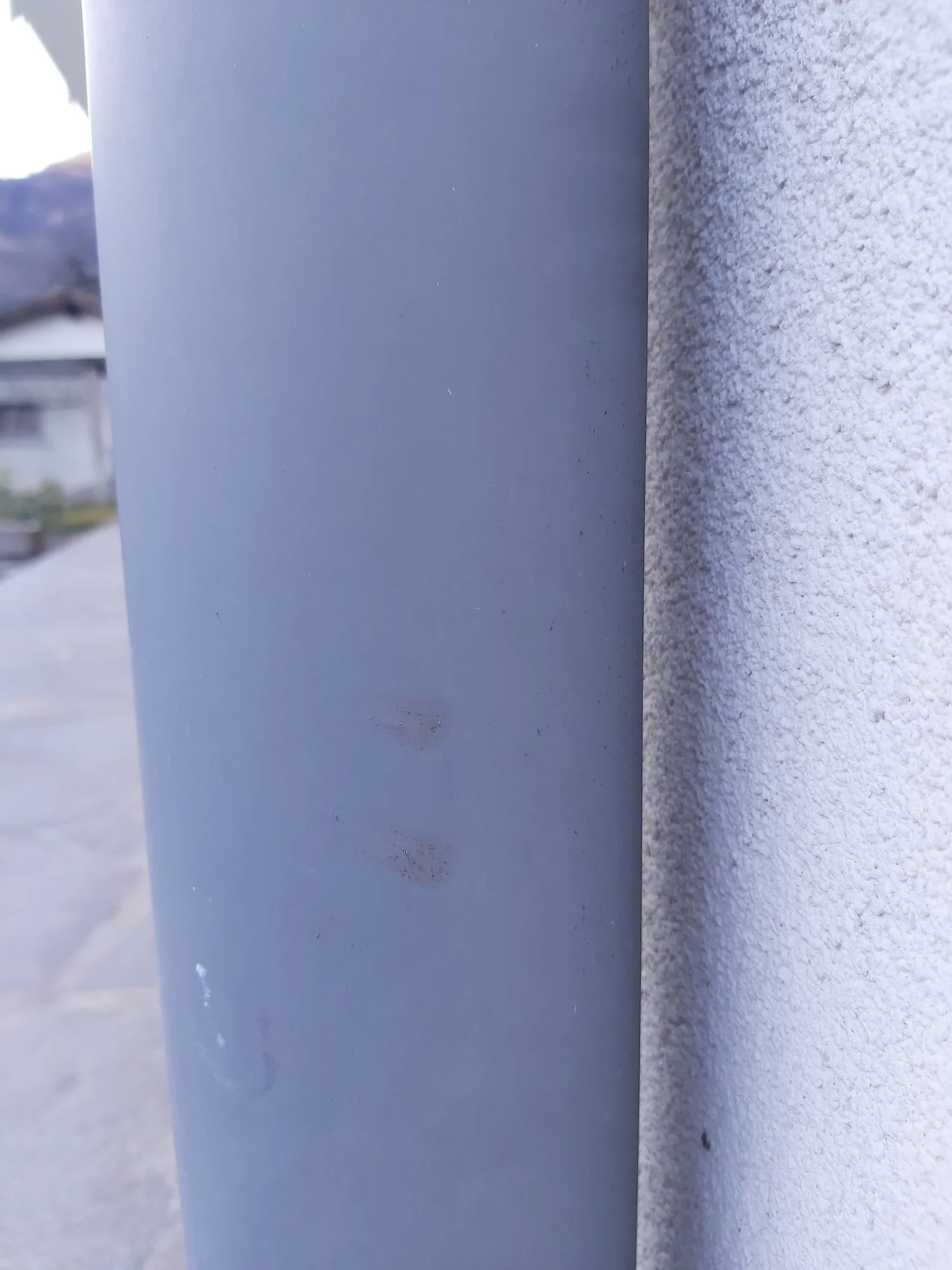 20220123_143713.jpg