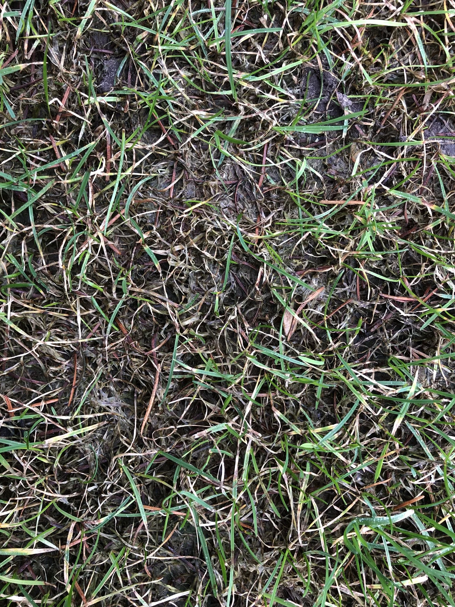 20220125_124655515_iOS.jpg