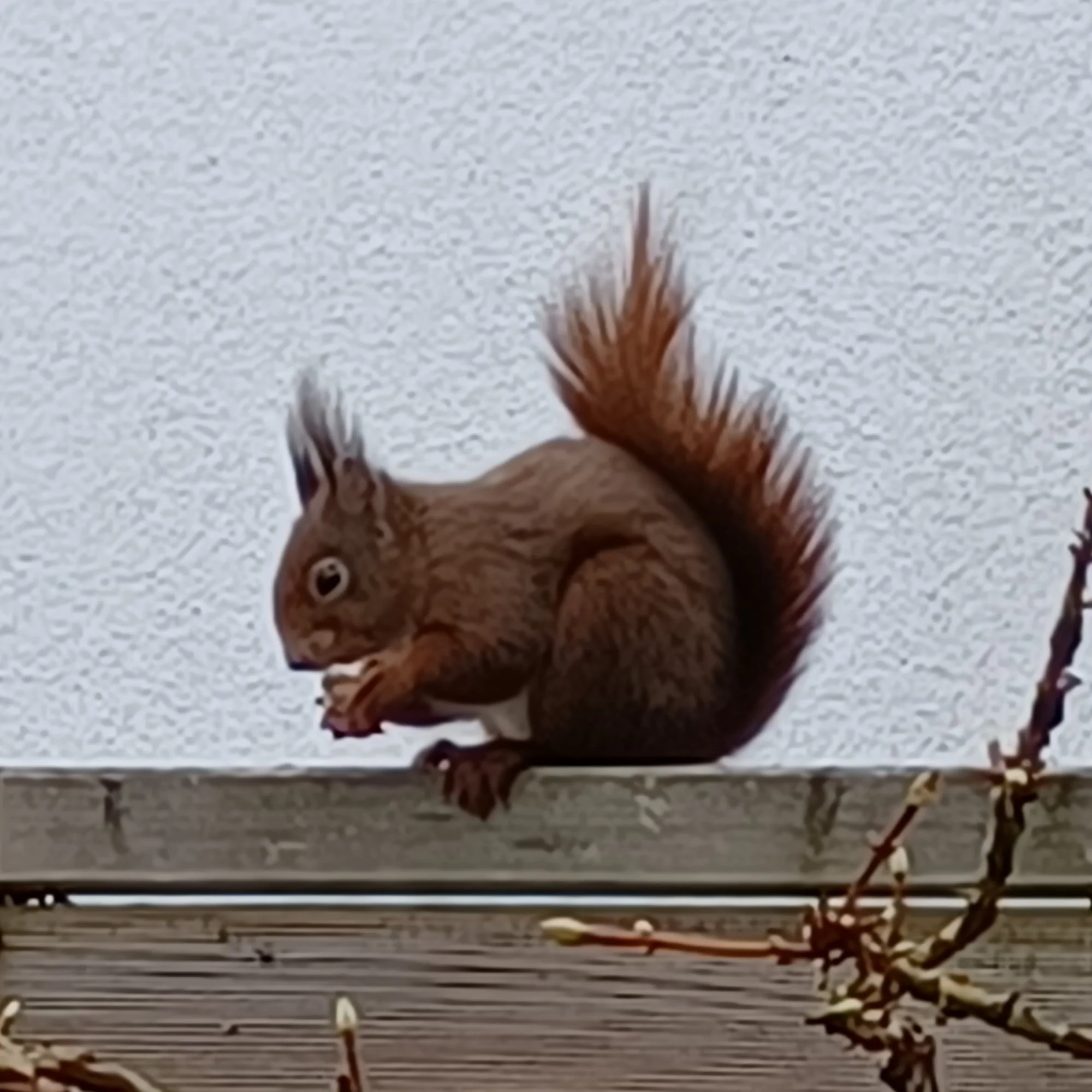 20220225_123110.jpg