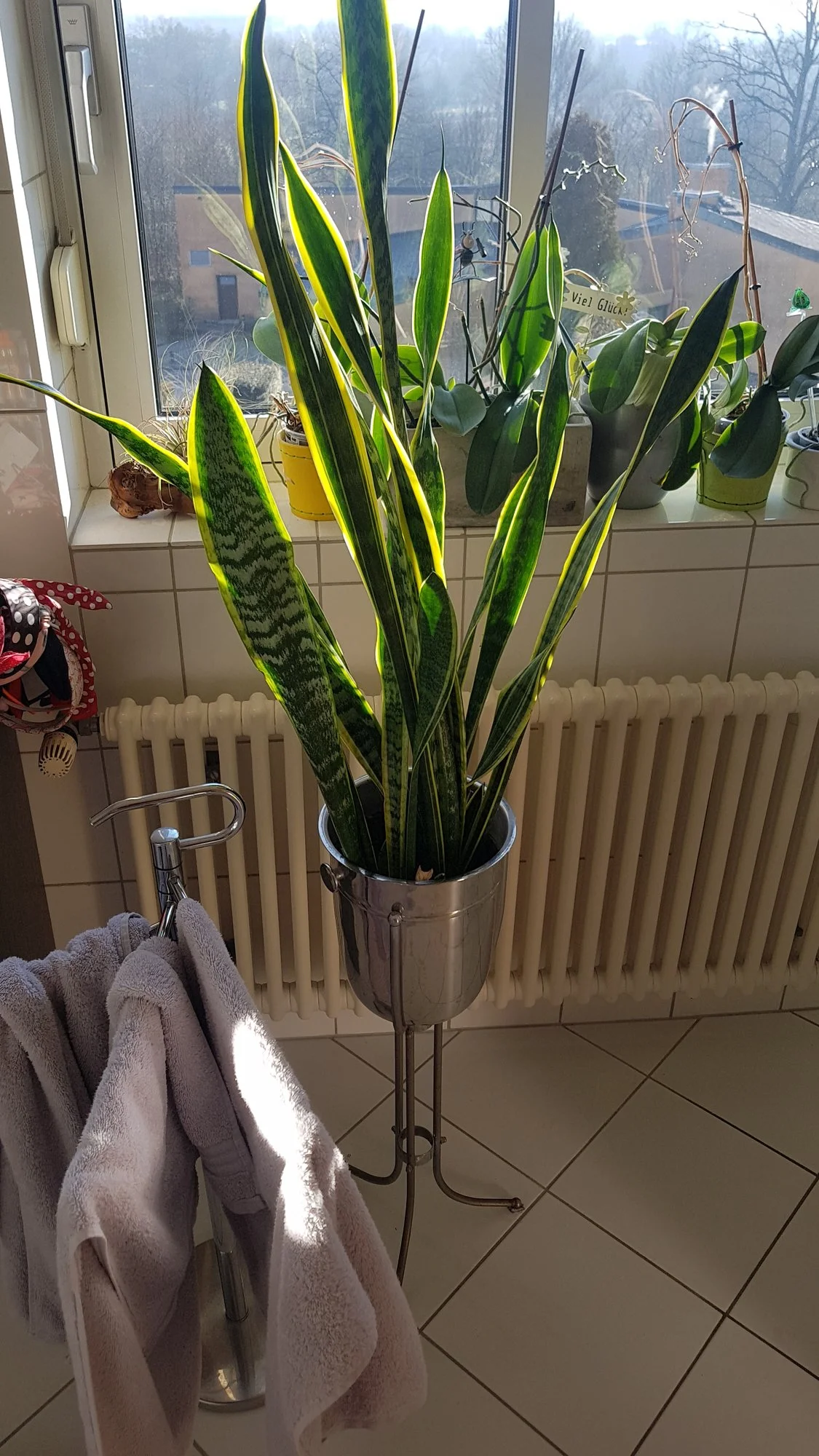20220303_091314.jpg
