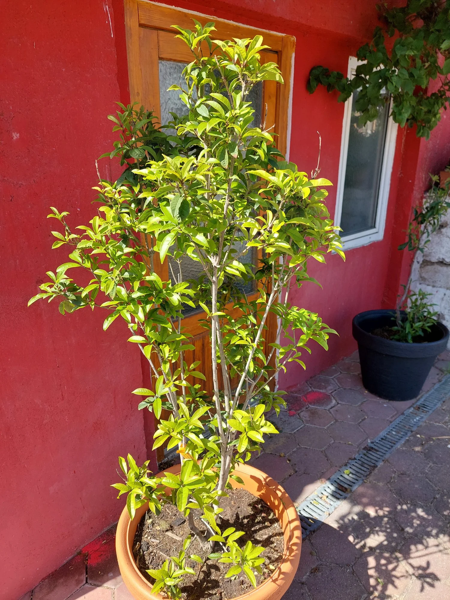 20220522_152120.webp