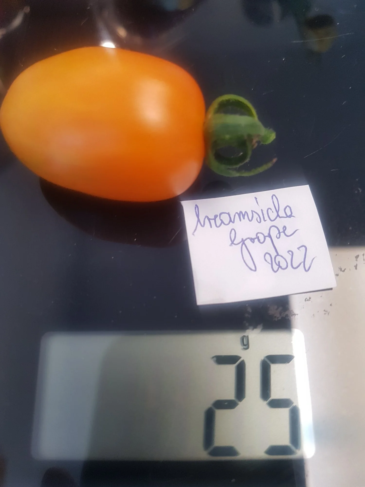 20220809_164322.jpg