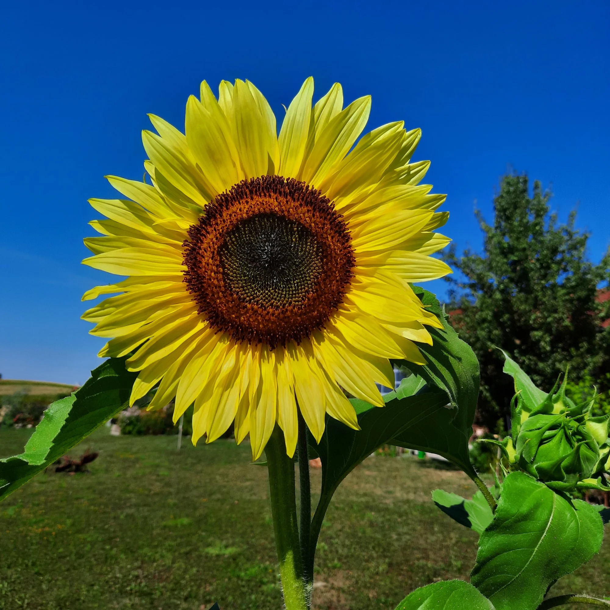 20220817_105604.webp