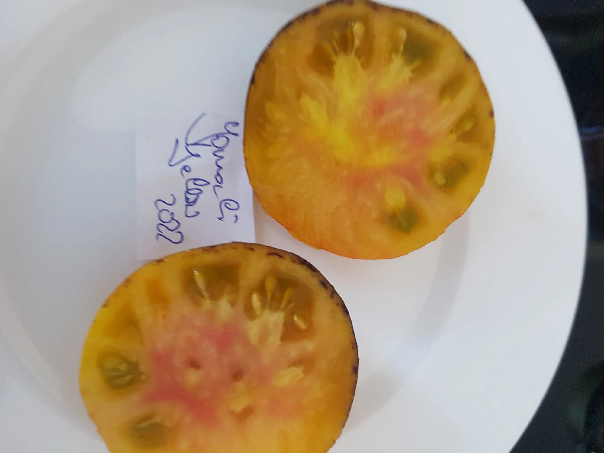 20220820_161537.webp