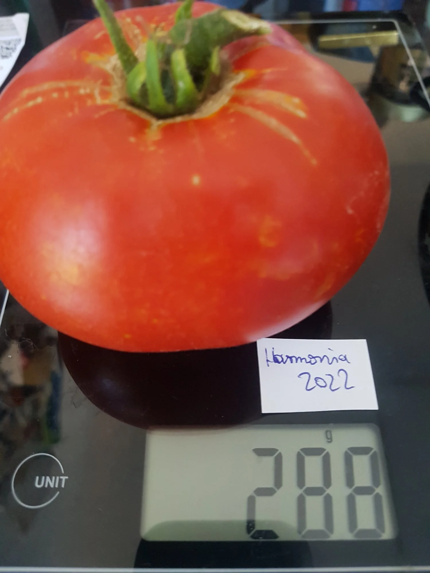 20220820_163941.webp