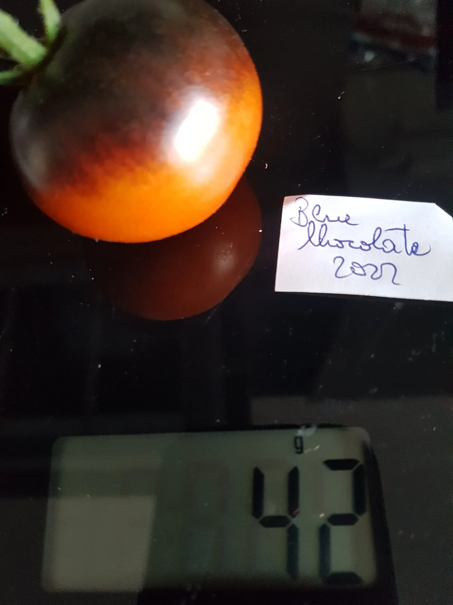 20220822_174233.jpg