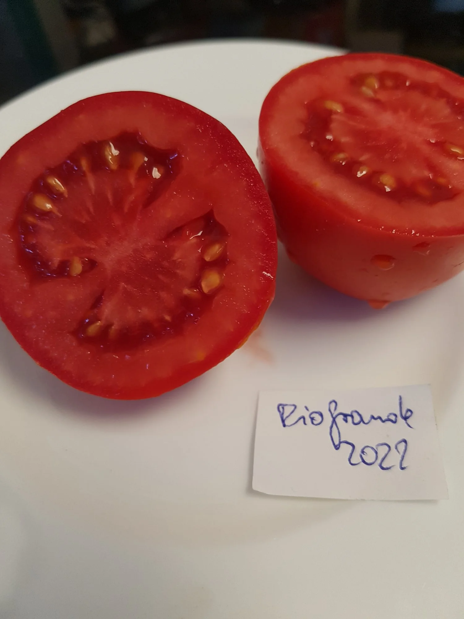 20220822_175310.webp