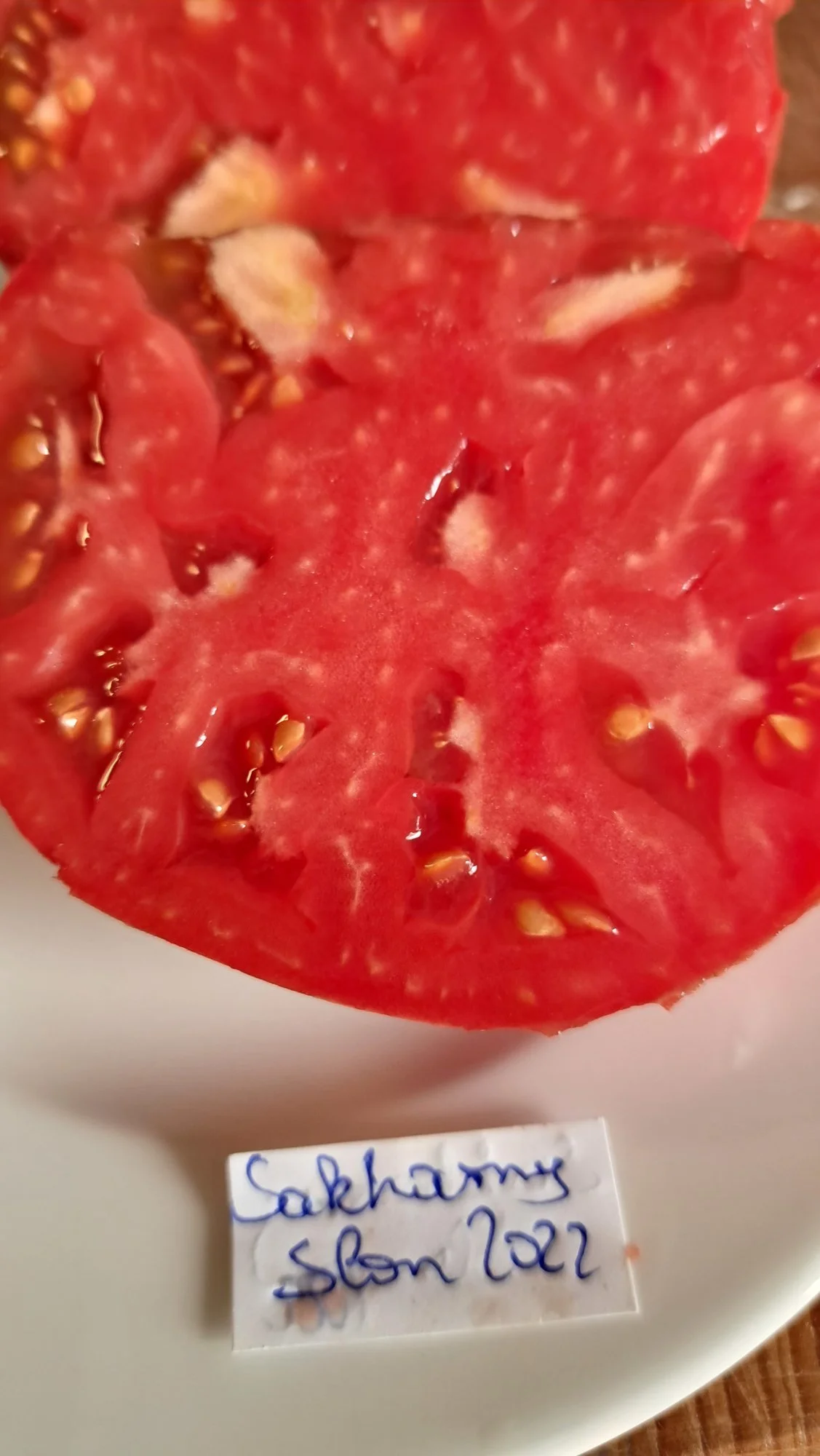 20220911_121920.webp