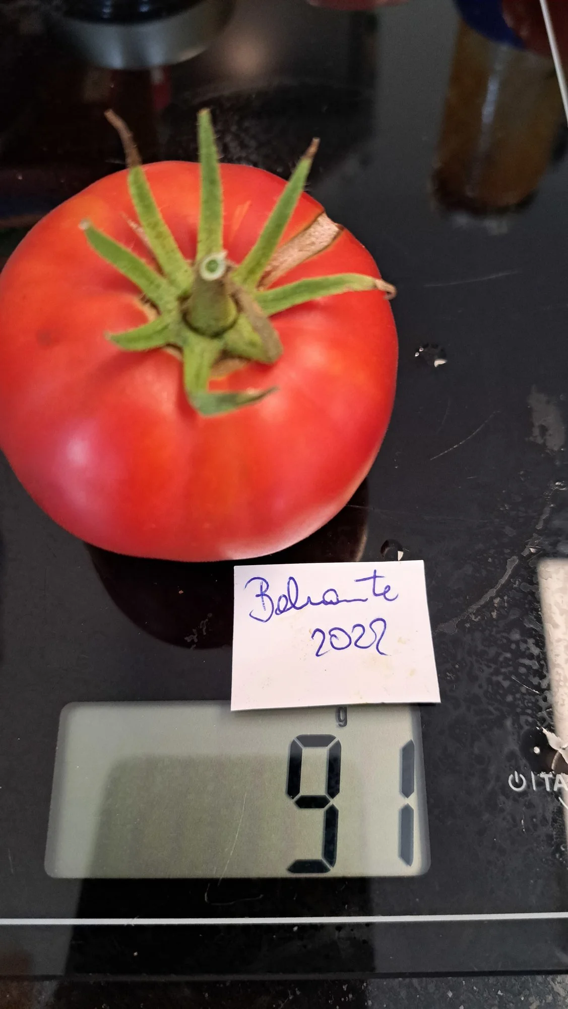 20220917_123831.webp