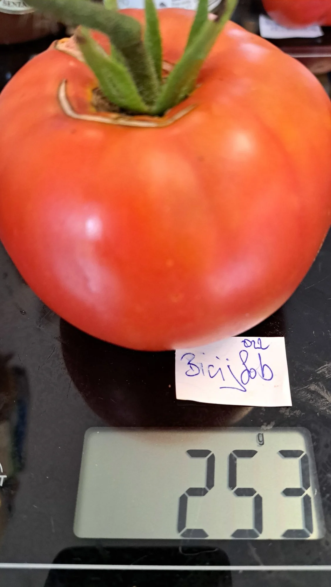 20220917_125832.jpg