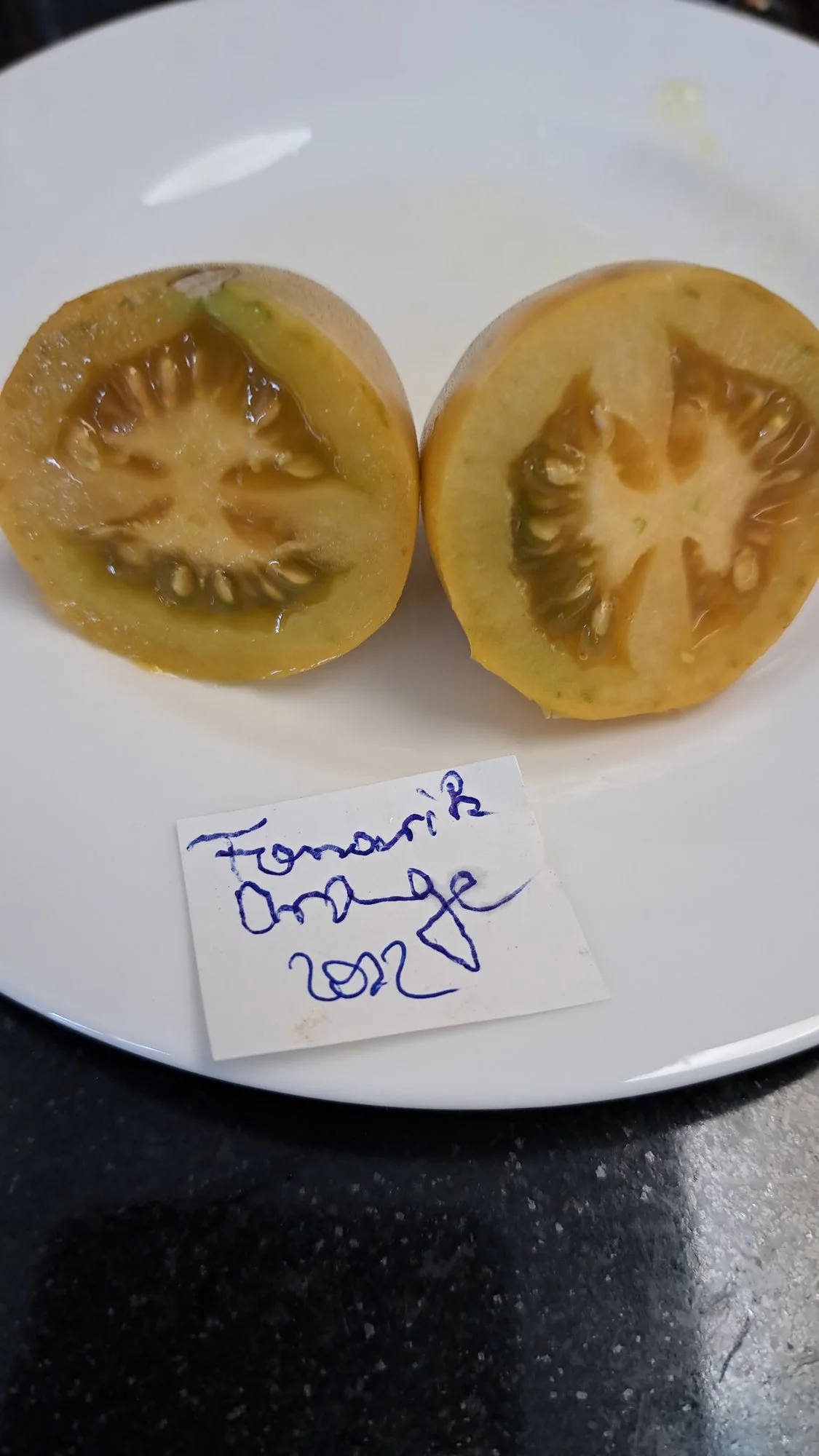 20220917_133647.webp