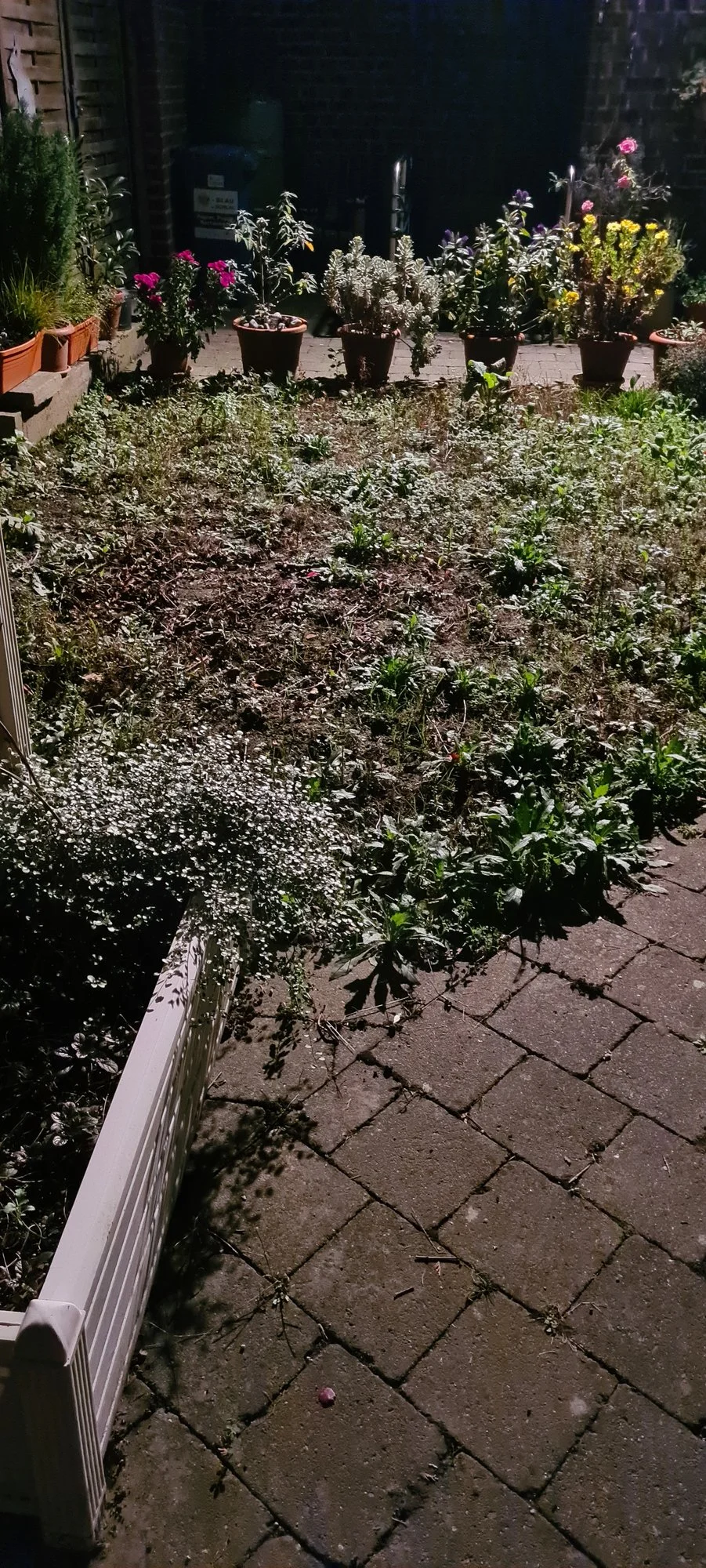 20221110_202152.webp