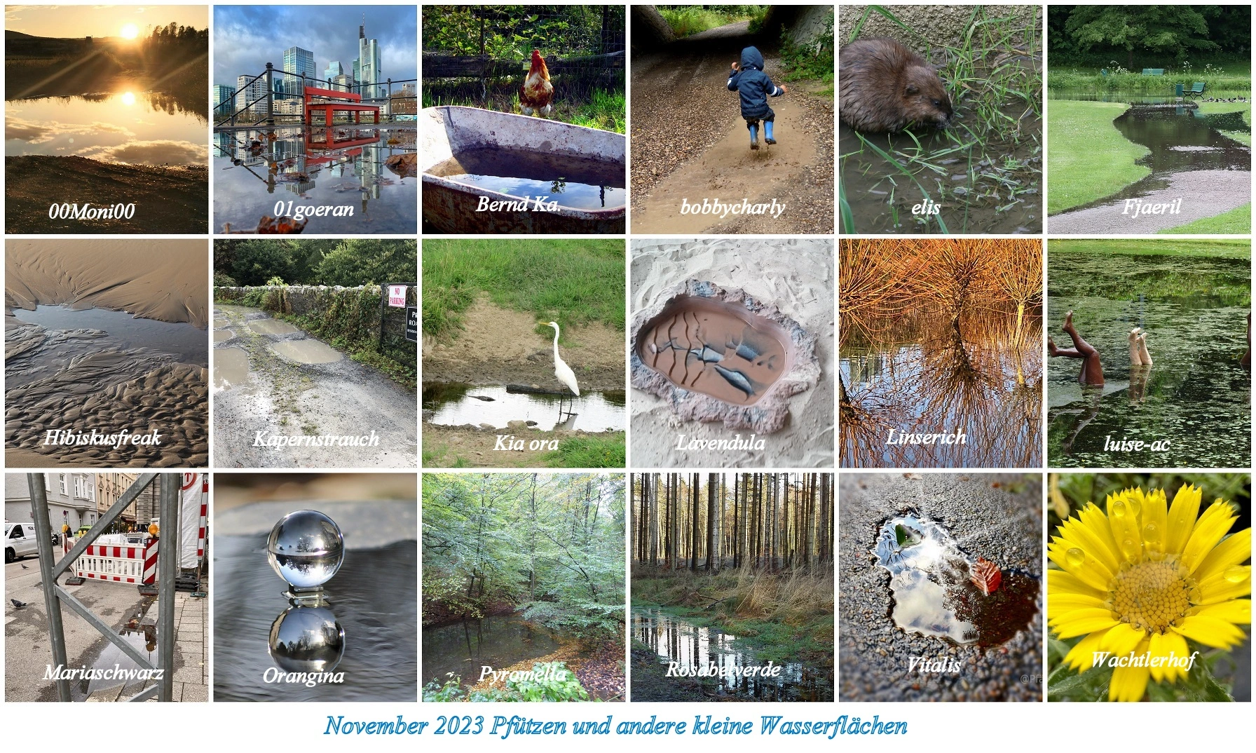 2023 November Pfützen und andere kleine Wasserflächen - Copy.webp