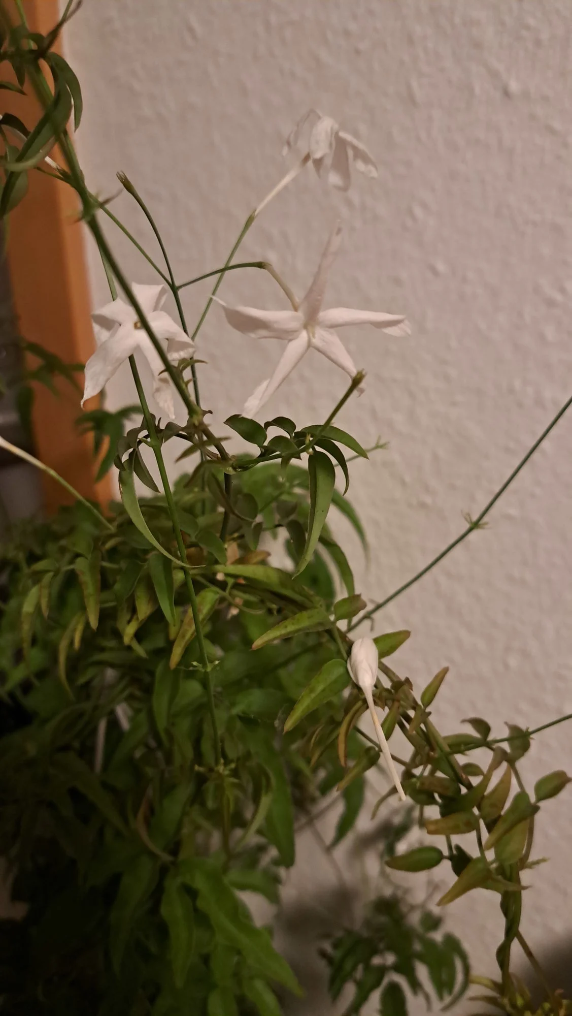 20230101_174700.webp