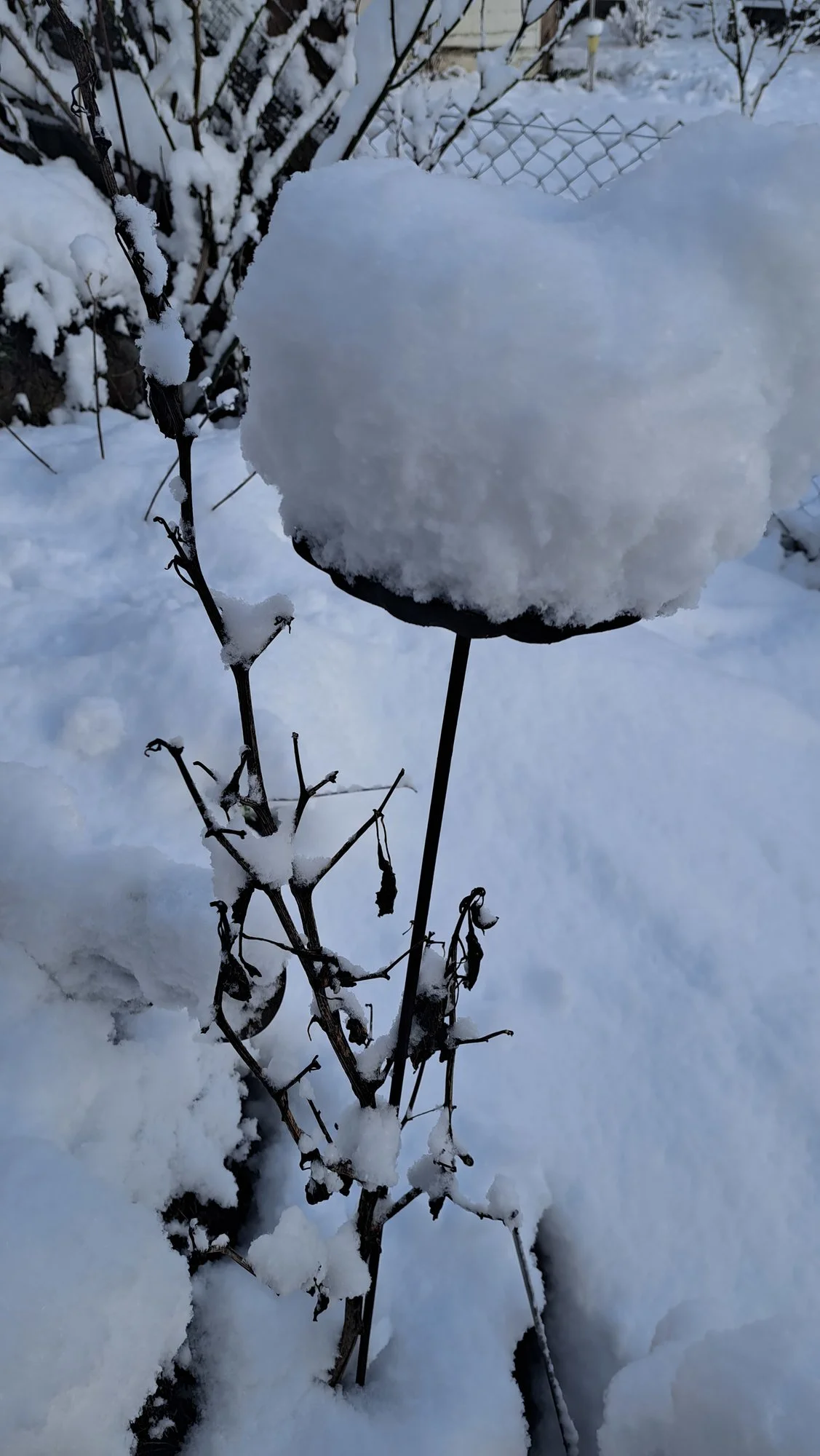 20230121_084539.webp