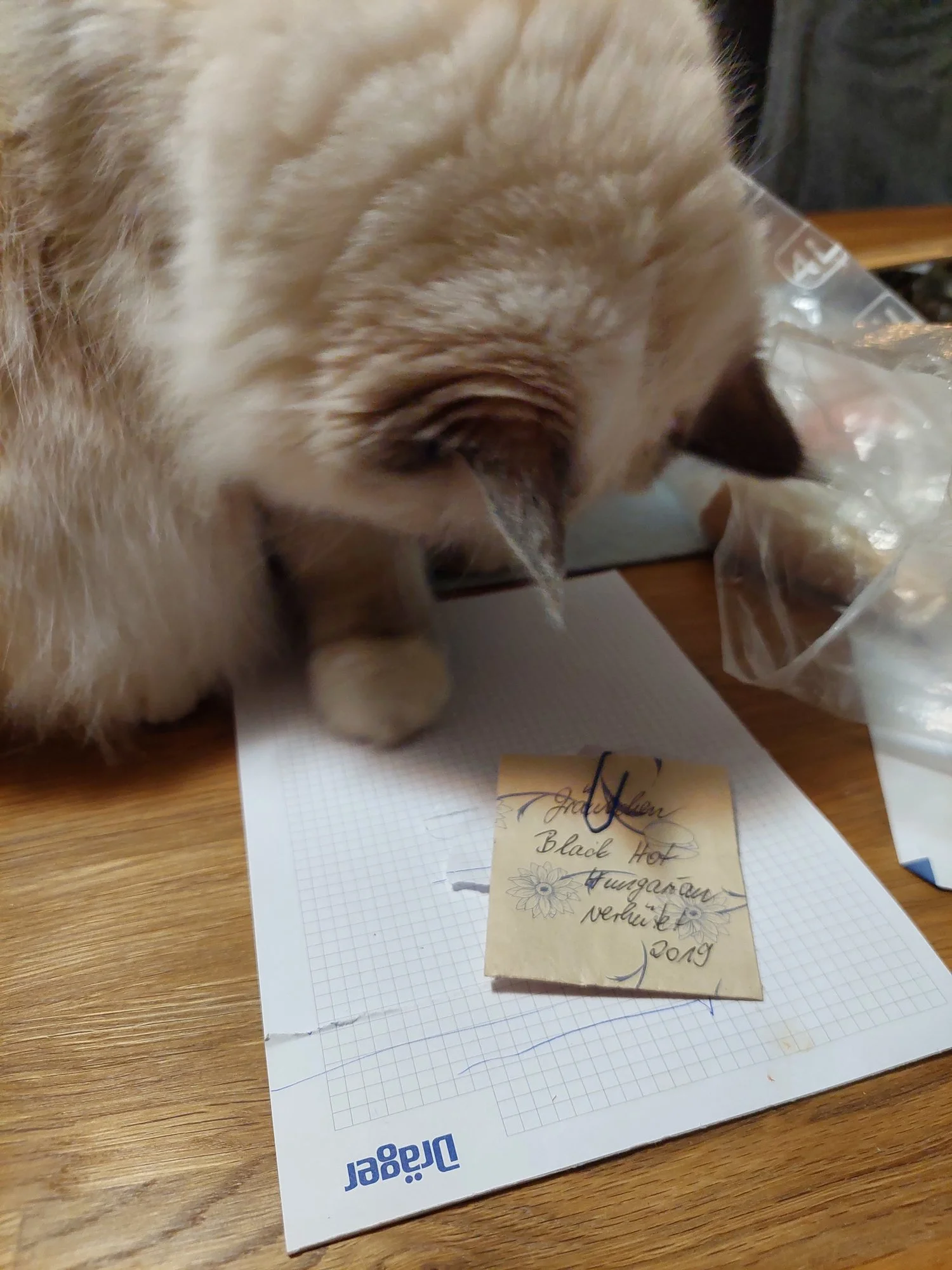 20230210_203311.webp