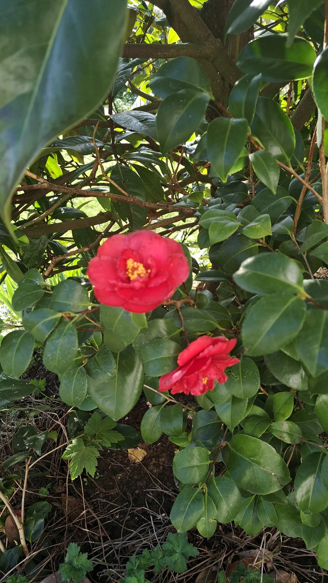 20230421_085221.webp