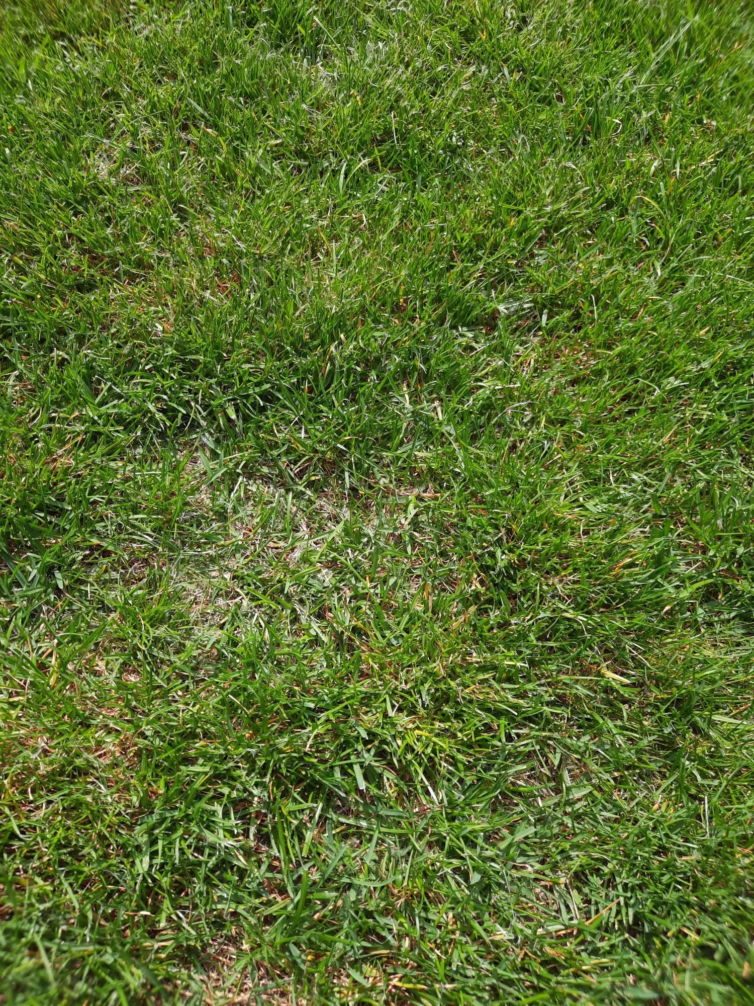 20230505_120342.webp