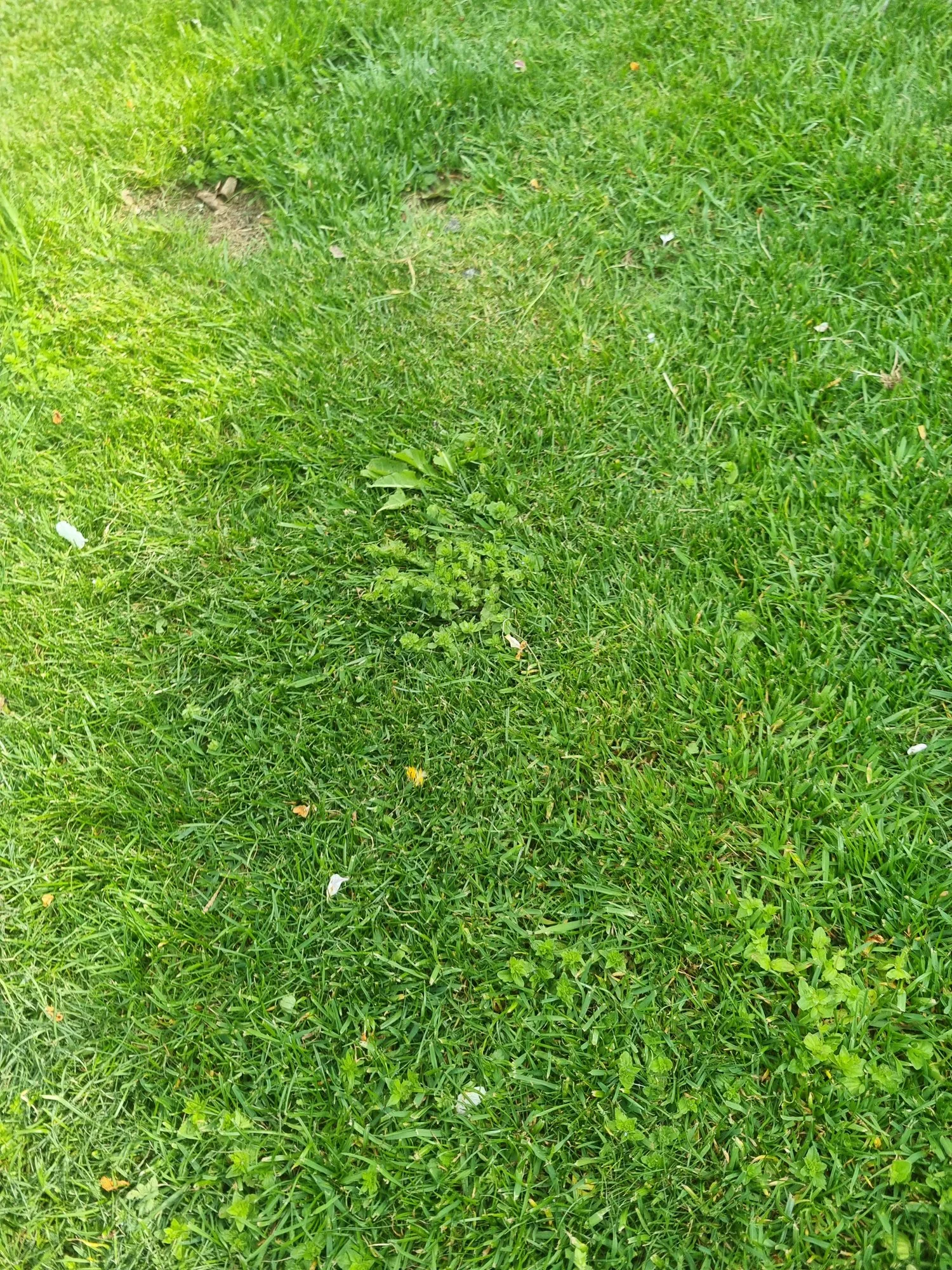 20230514_164529.webp