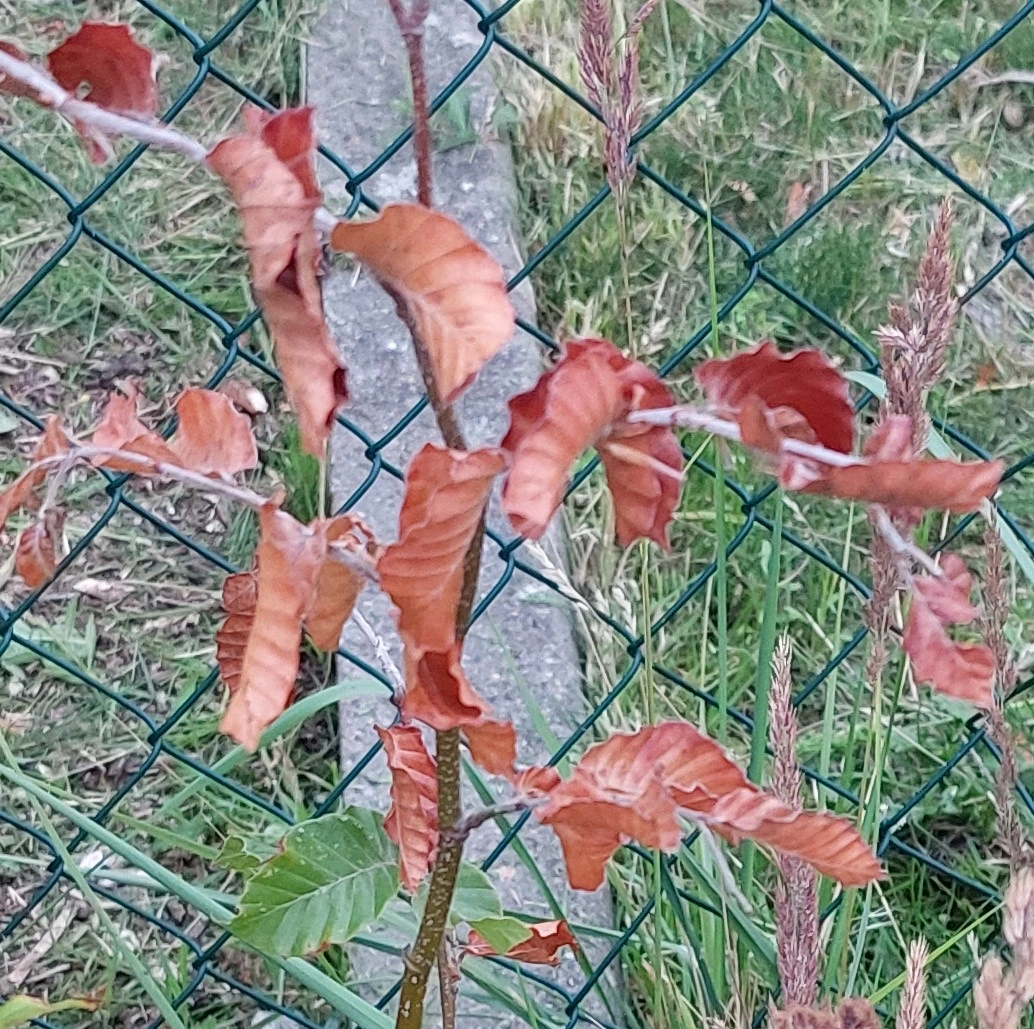 20230722_204349.jpg