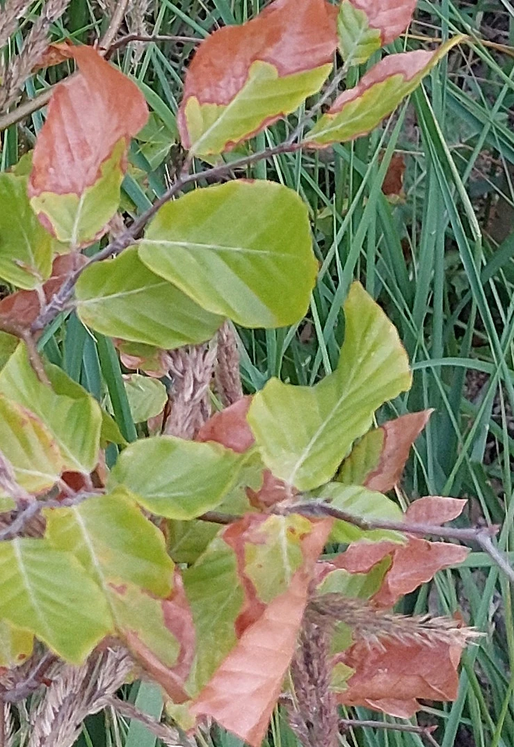 20230722_204352.jpg