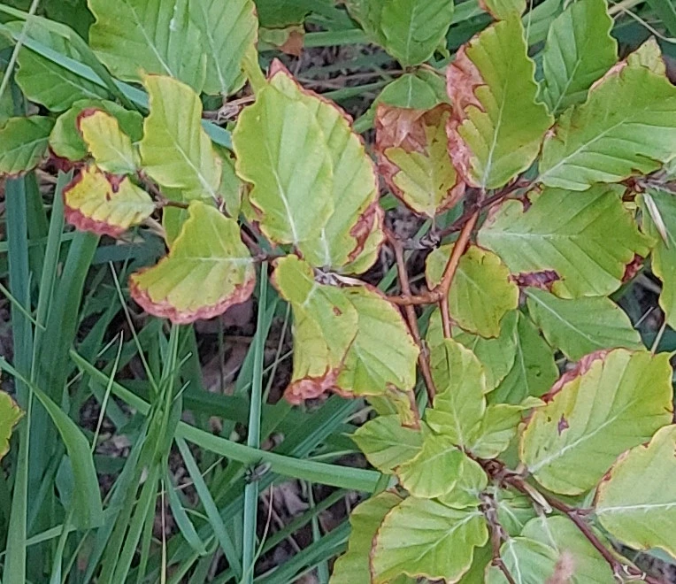 20230722_204401.jpg