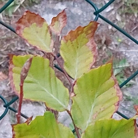 20230722_204406.jpg