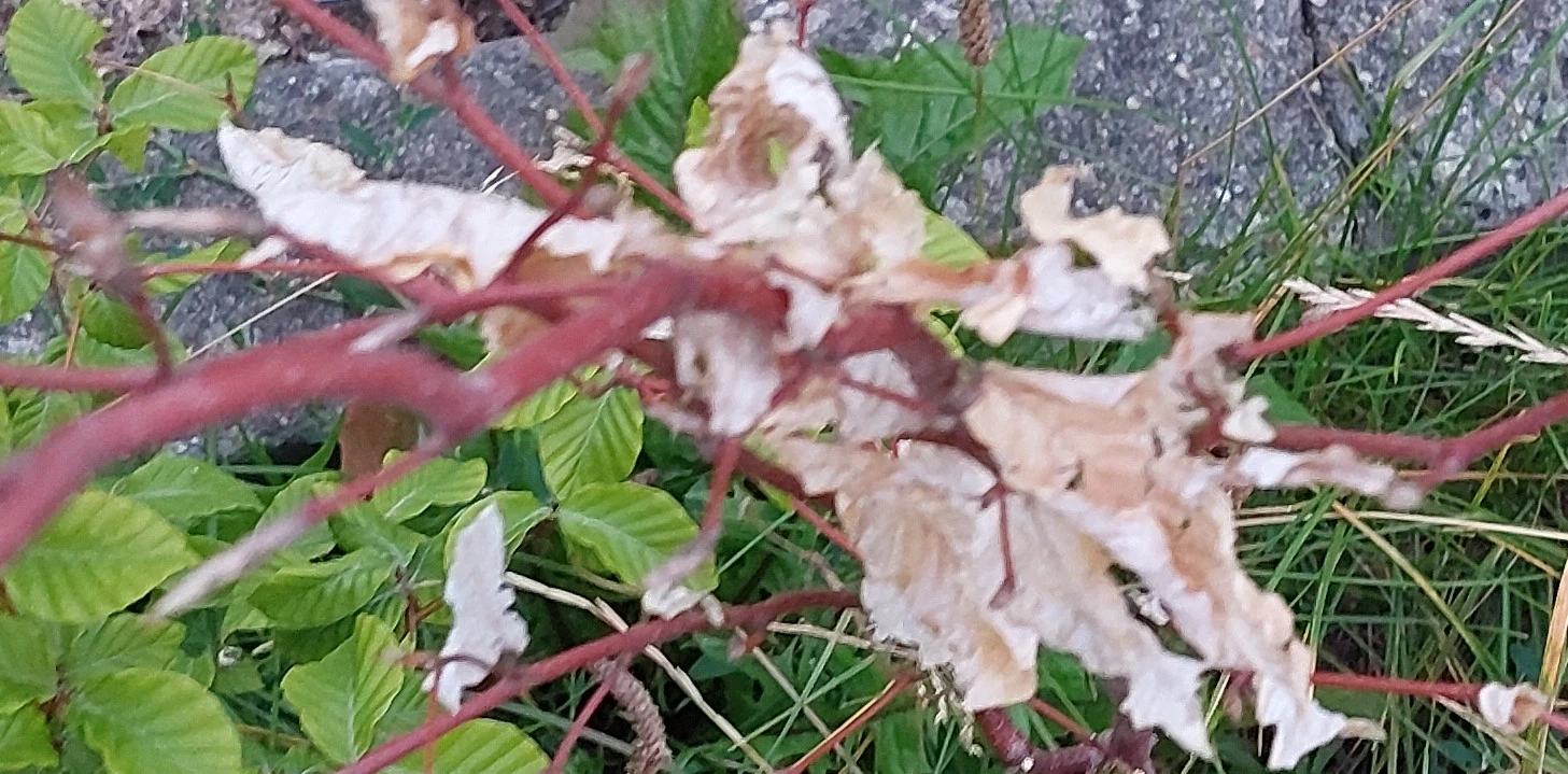20230722_204417.jpg
