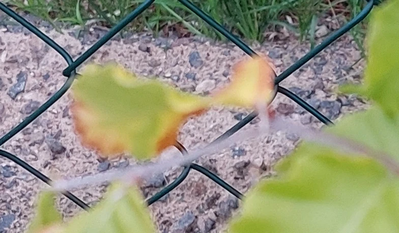 20230722_204508.jpg