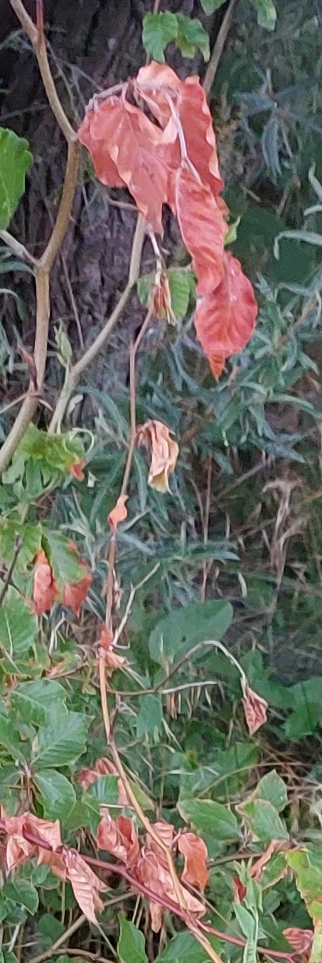 20230722_204522.jpg