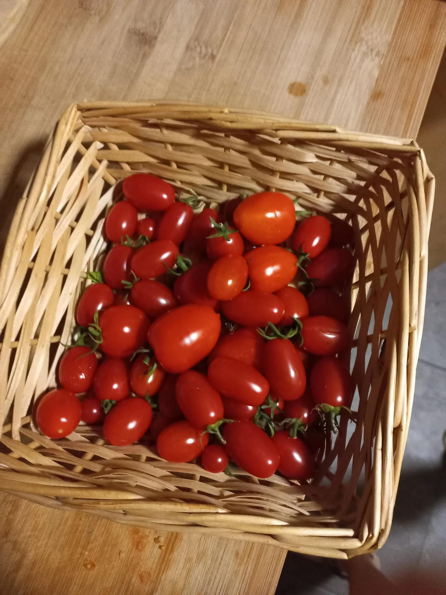 20230824_182813.webp