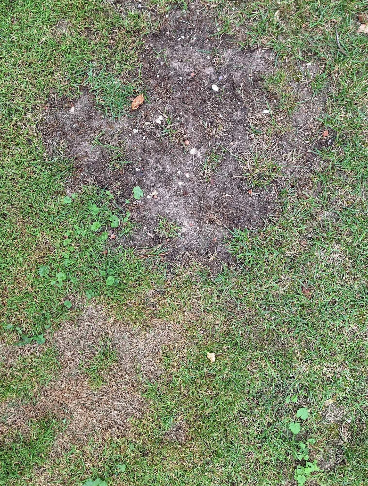 20230913_151932.webp