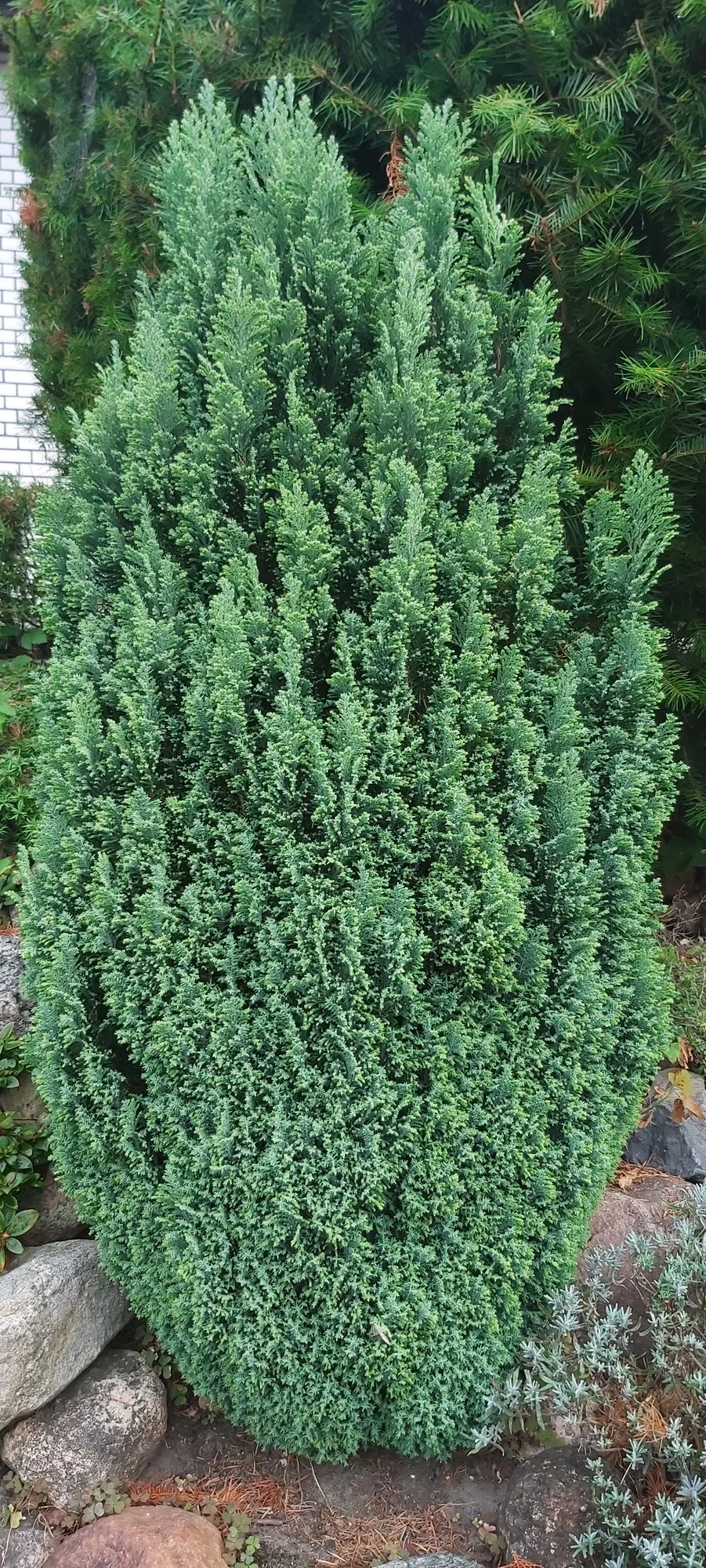 20230924_093719.webp
