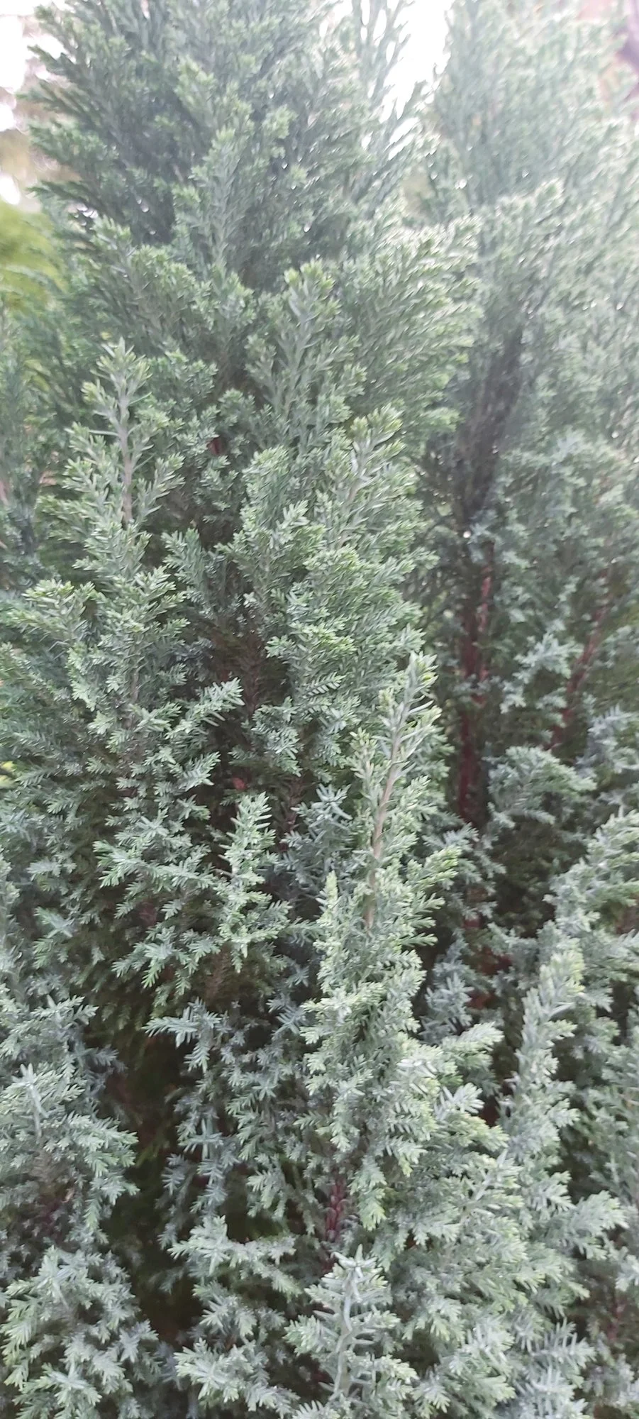 20230924_093837.webp