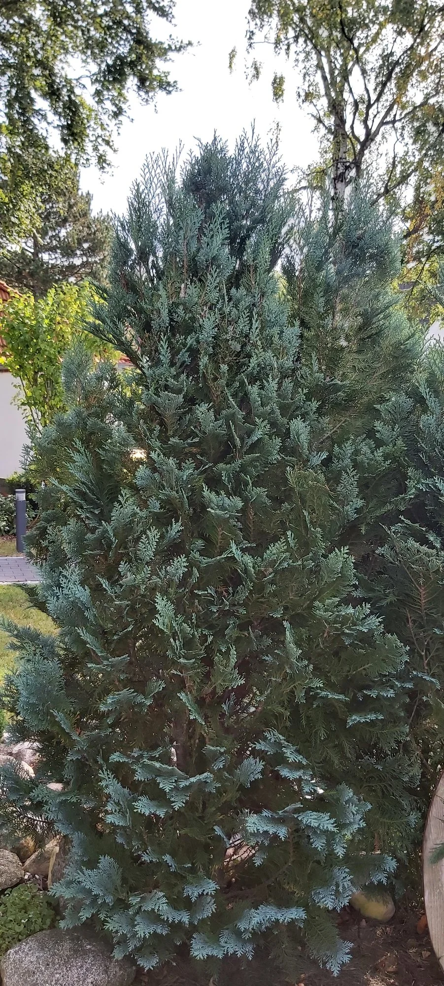 20230925_105415.webp