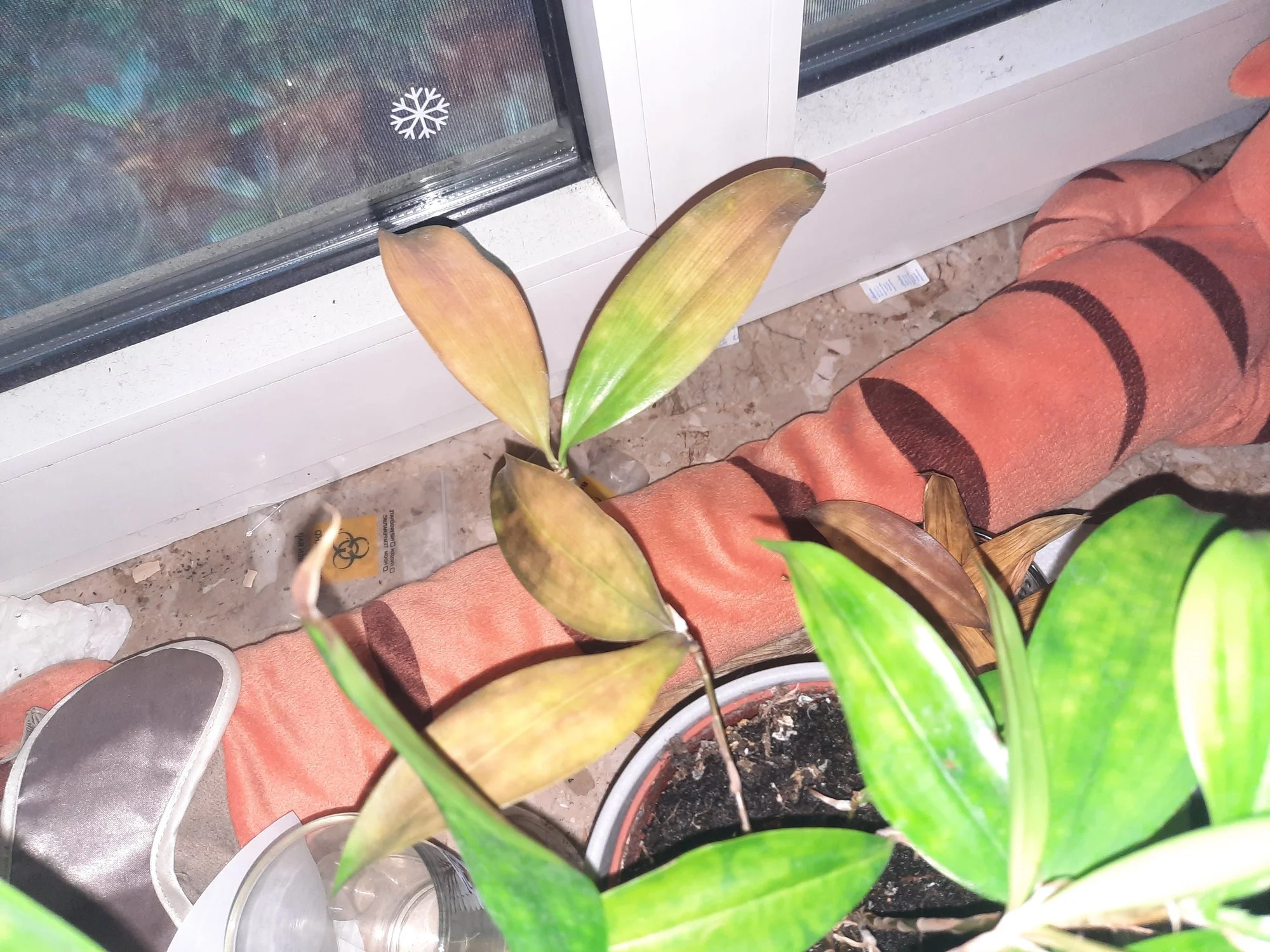 20231003_100152.webp