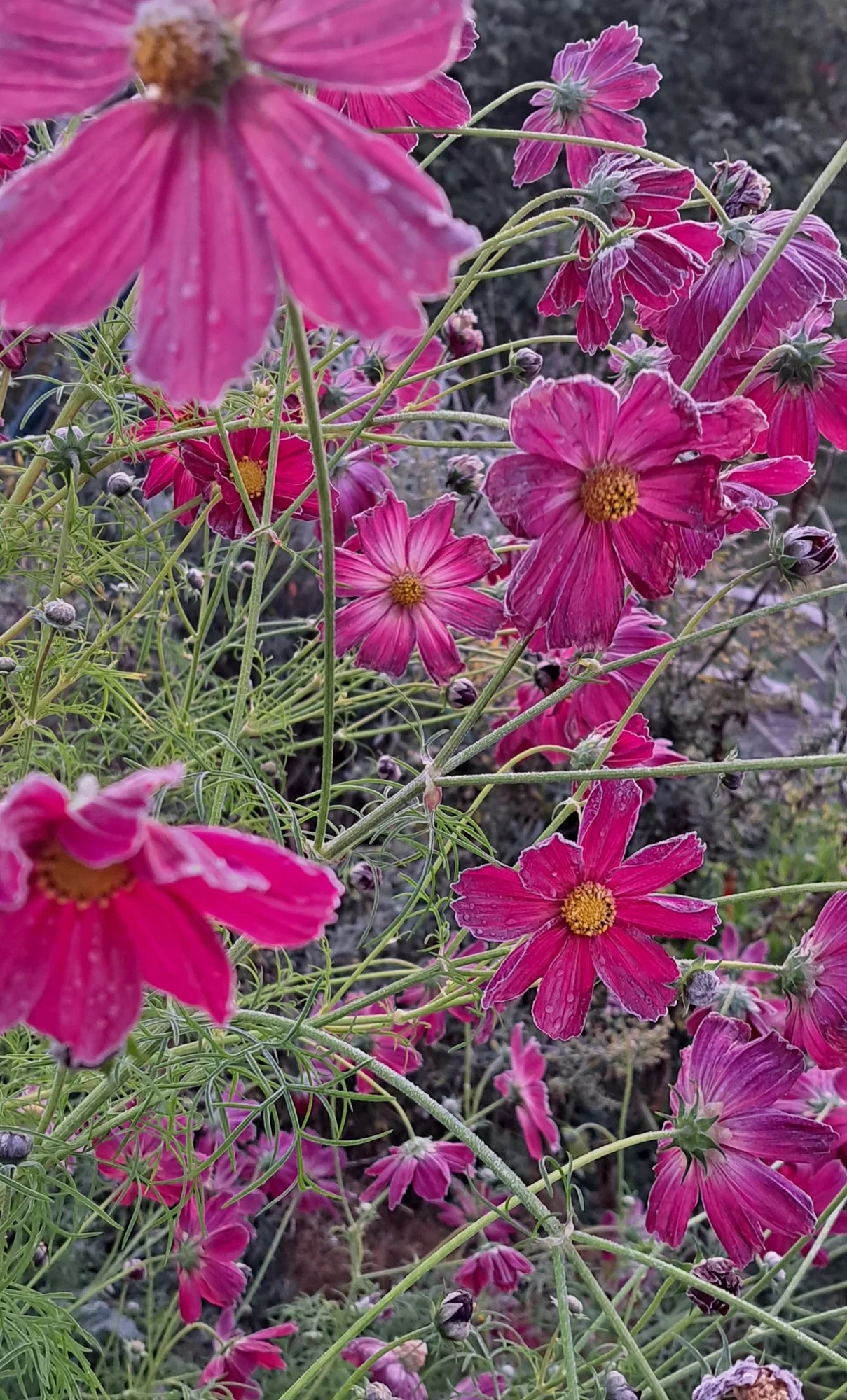 20231024_090355.webp